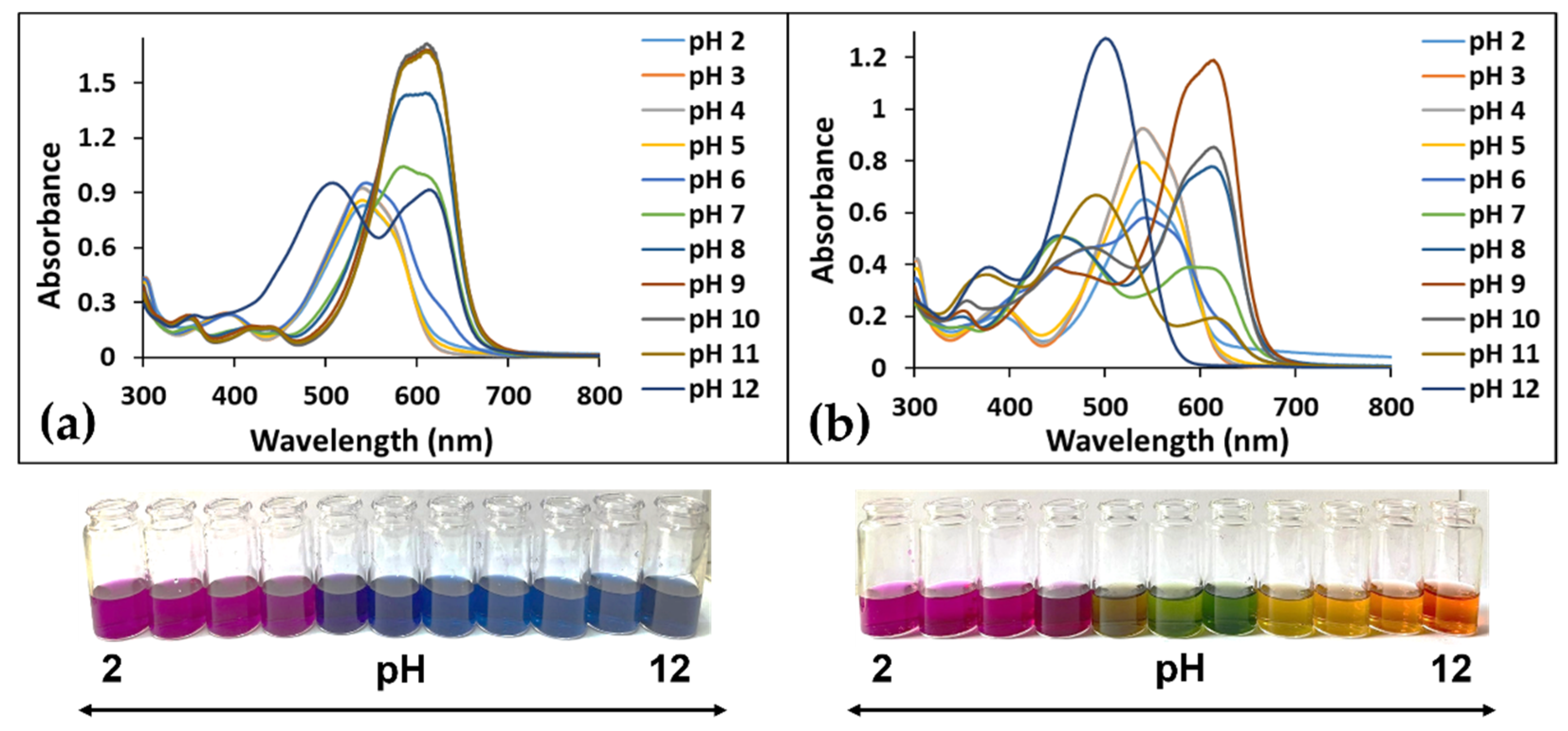 Polymers 14 03622 g002