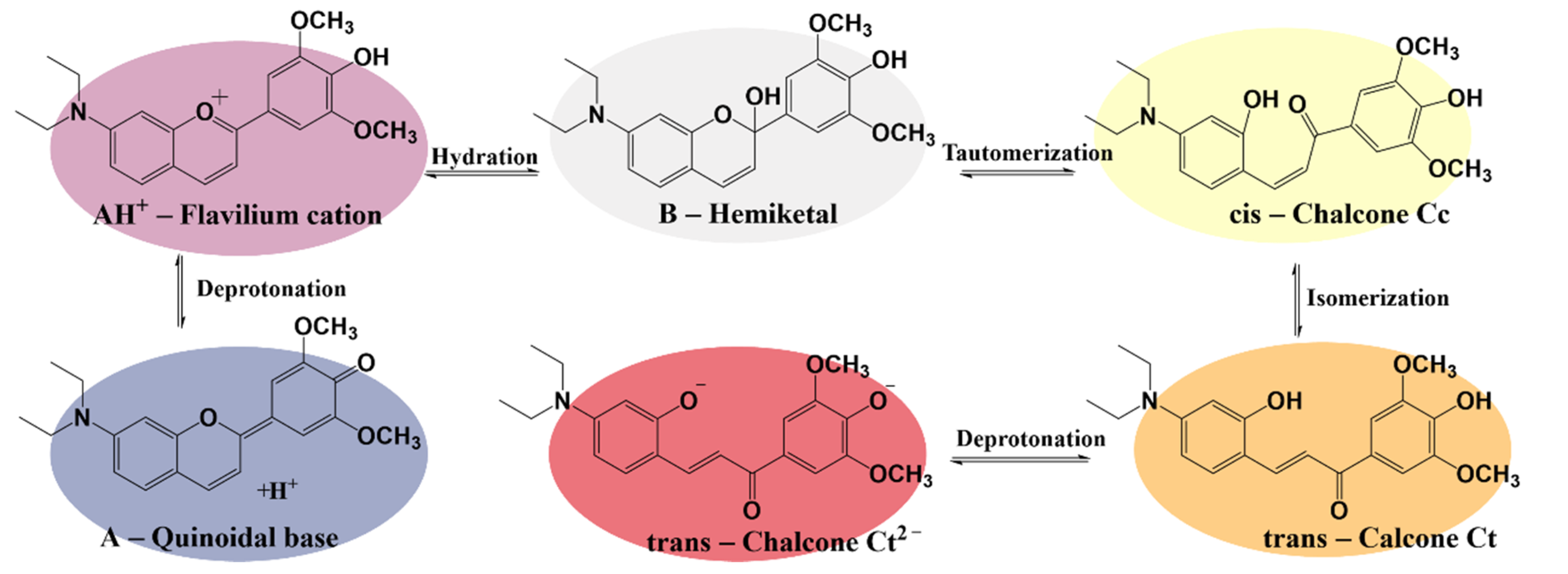 Polymers 14 03622 g003