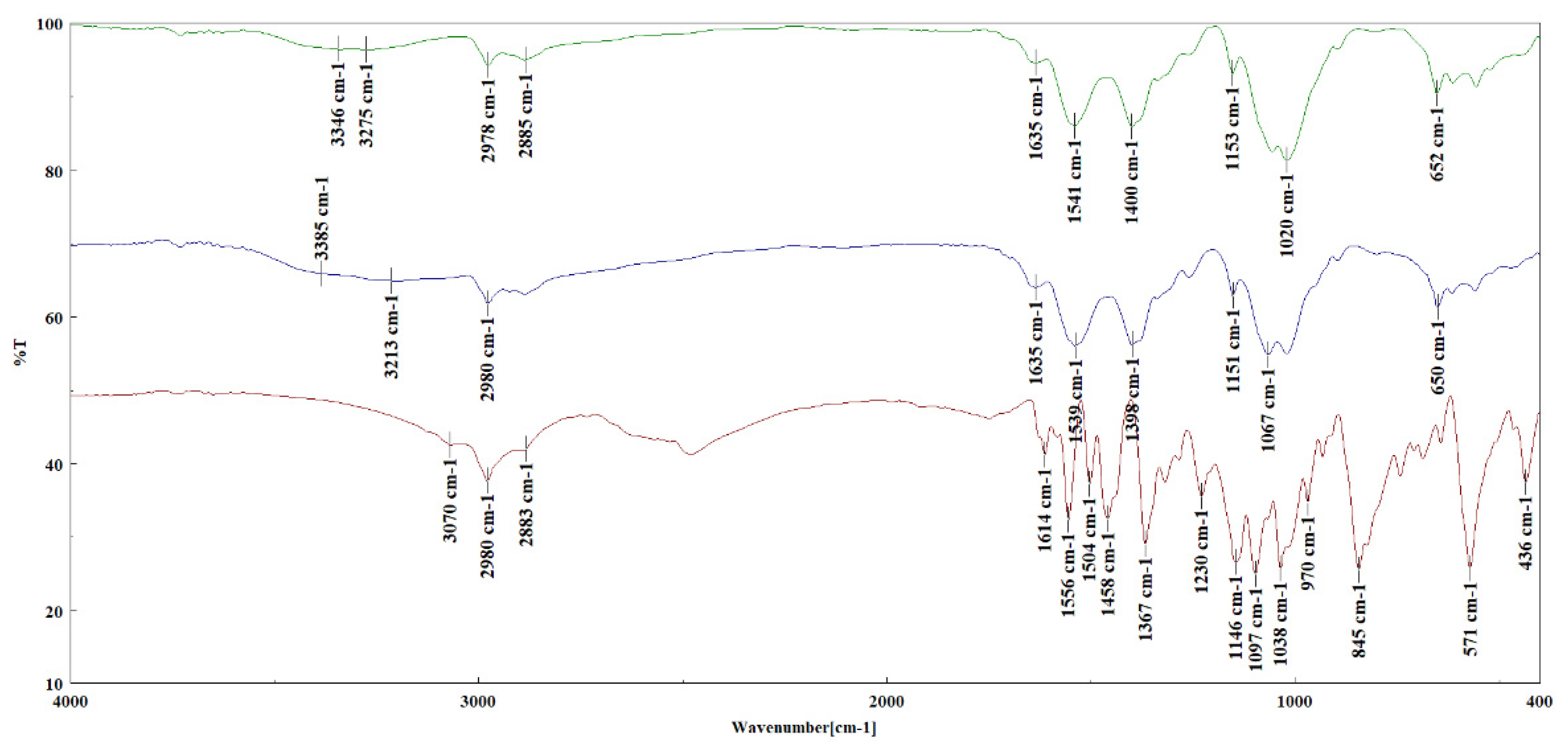 Polymers 14 03622 g004