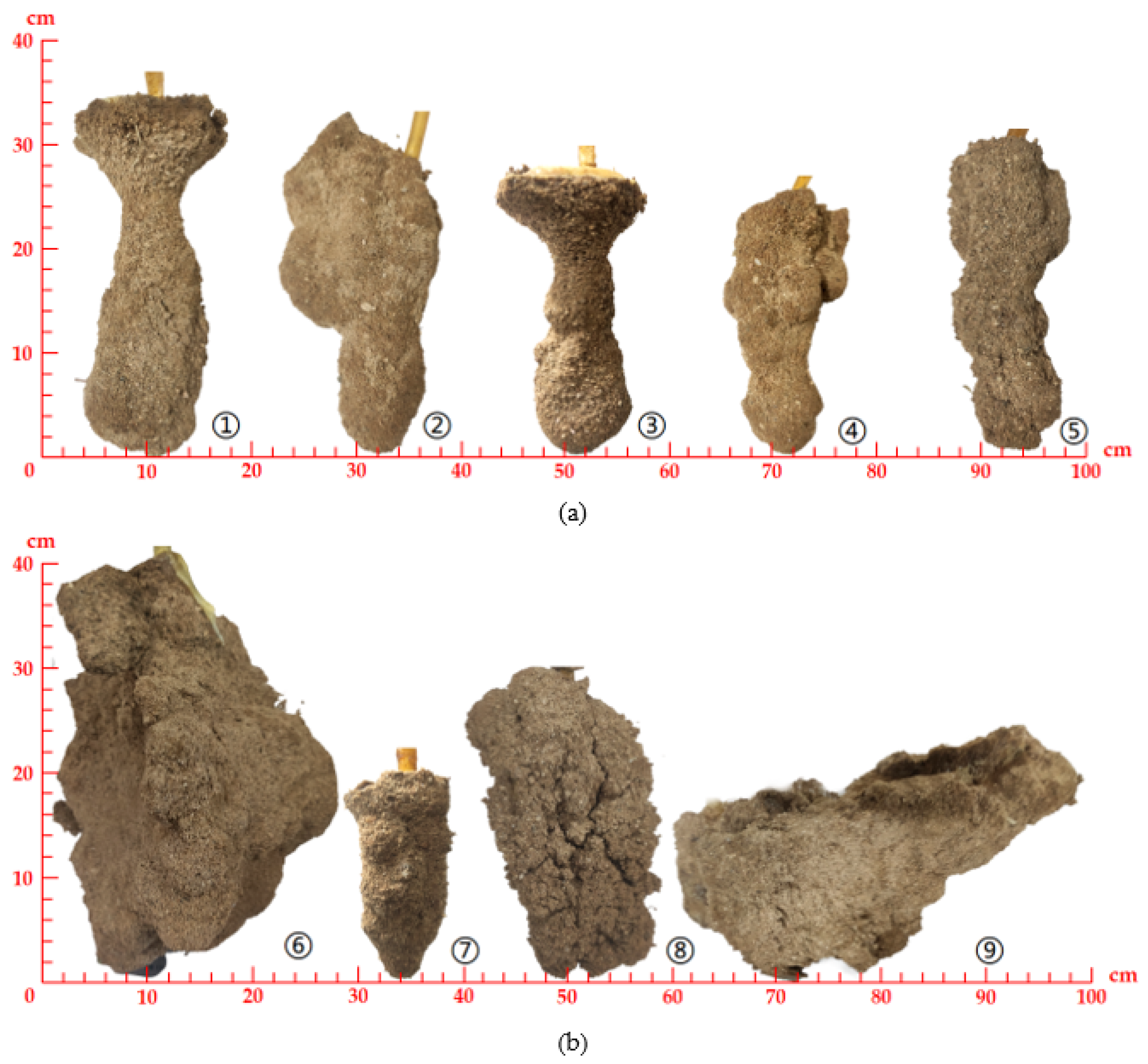 Polymers 14 03635 g010