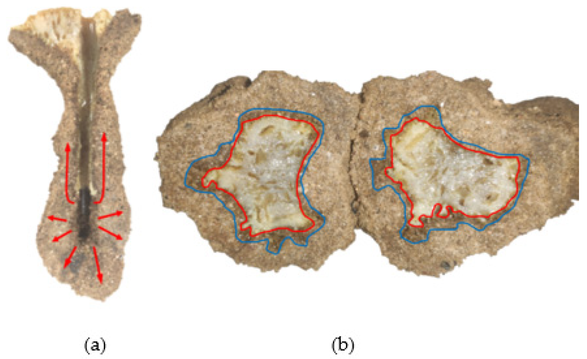 Polymers 14 03635 g011