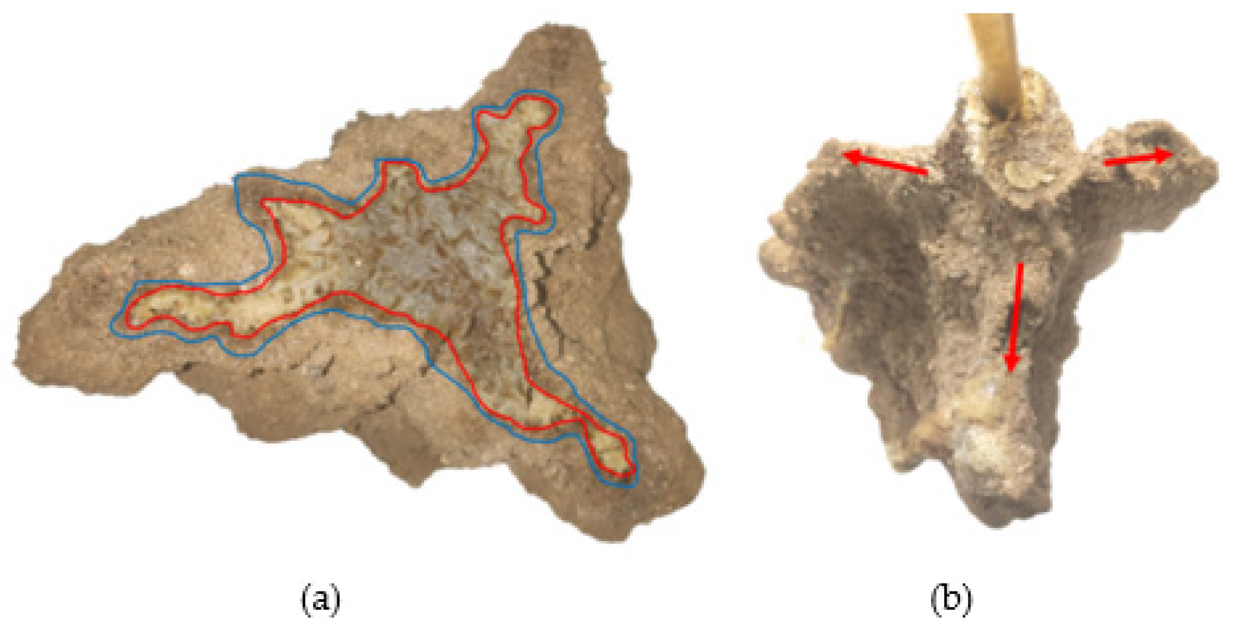 Polymers 14 03635 g013