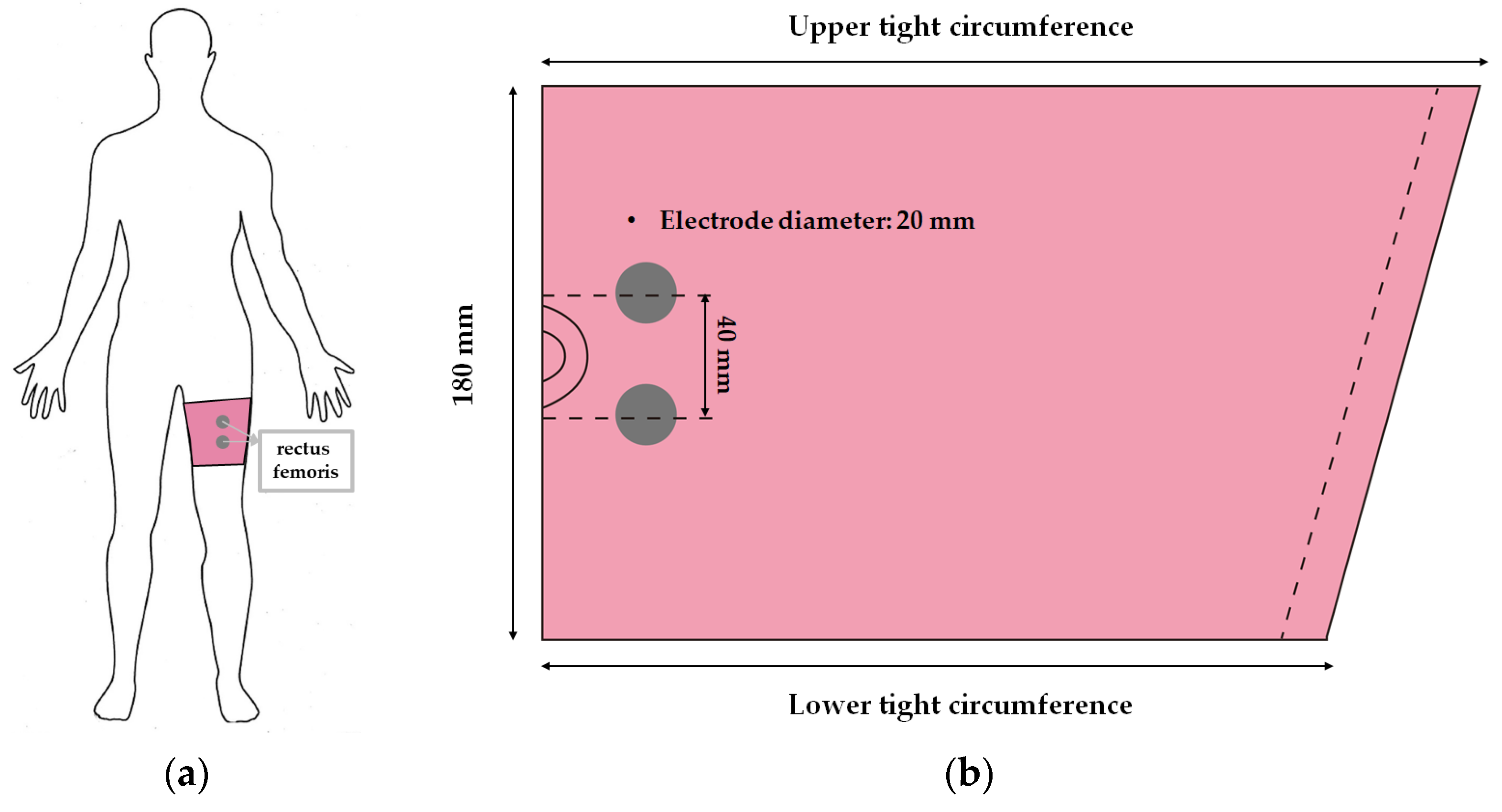 Polymers 14 03641 g001