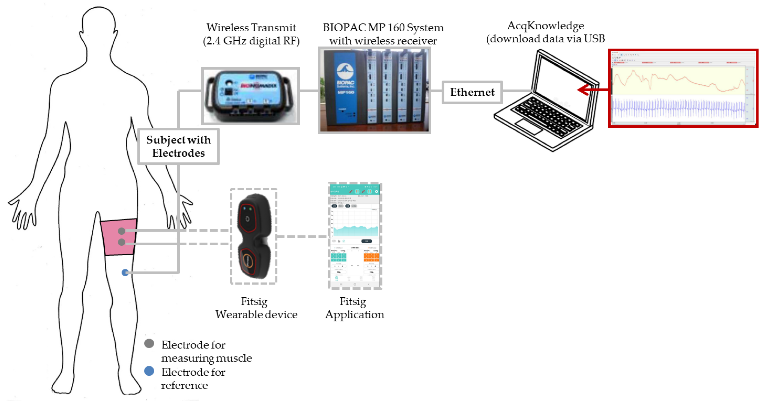 Polymers 14 03641 g002