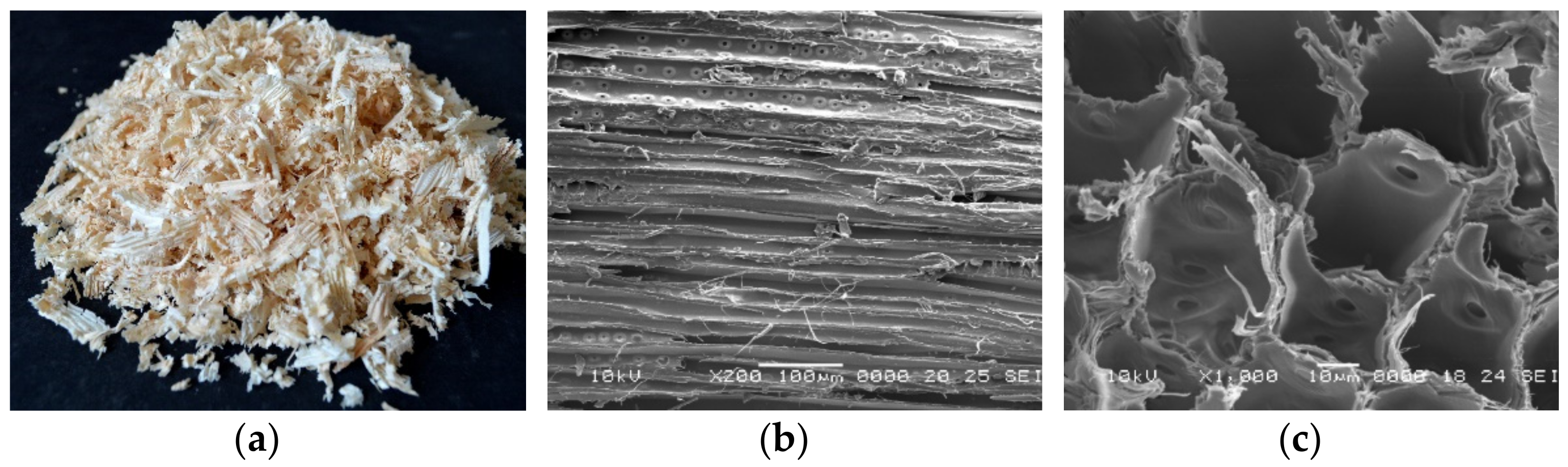 Polymers 14 03643 g001 Polymers 14 03643 g001