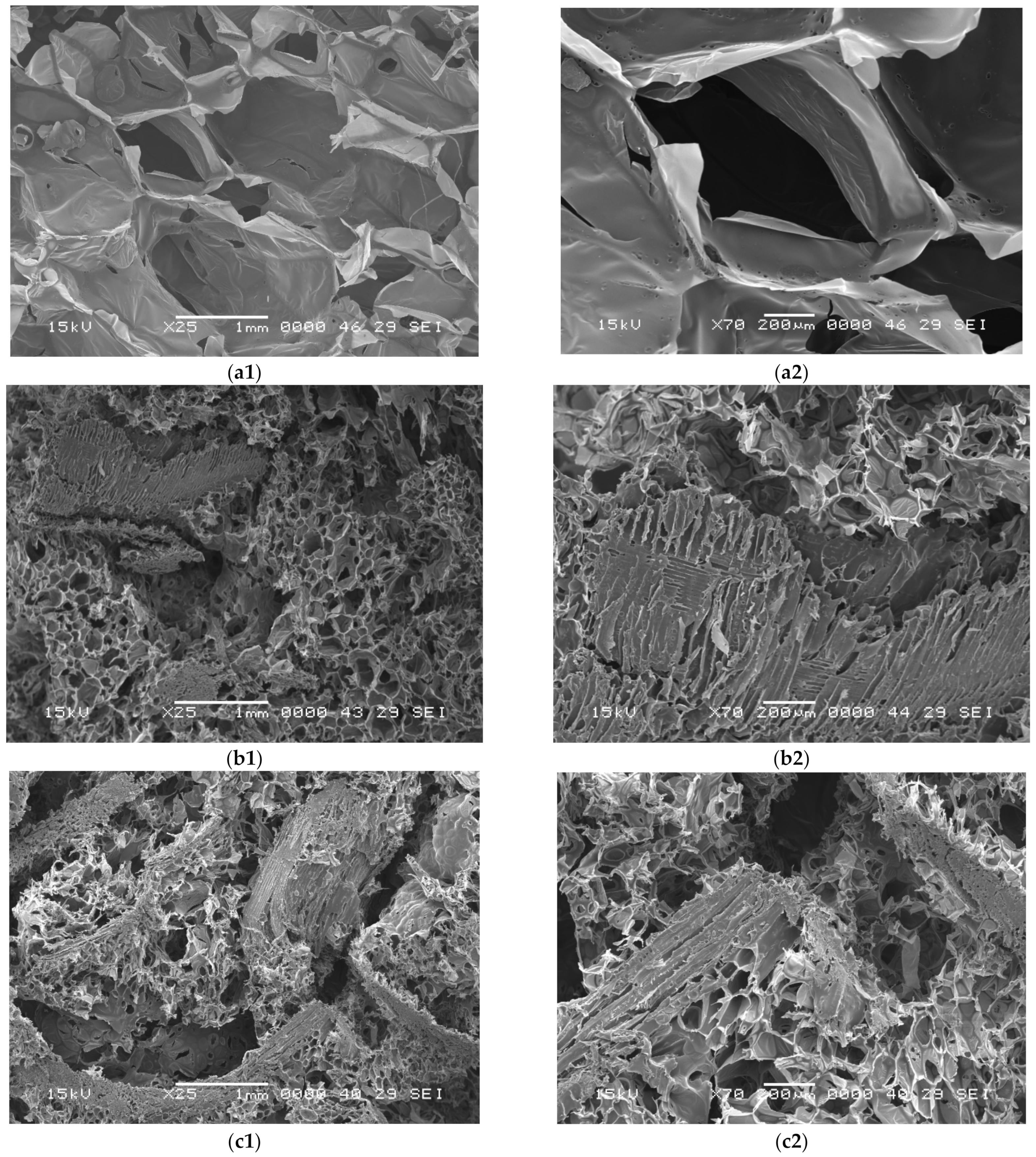 Polymers 14 03643 g004 Polymers 14 03643 g004