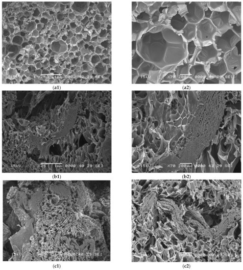 Polymers 14 03643 g005 550