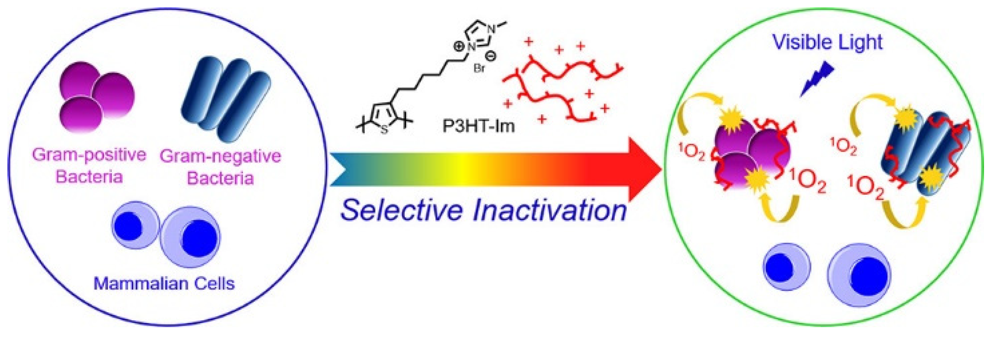 Polymers 14 03657 g003