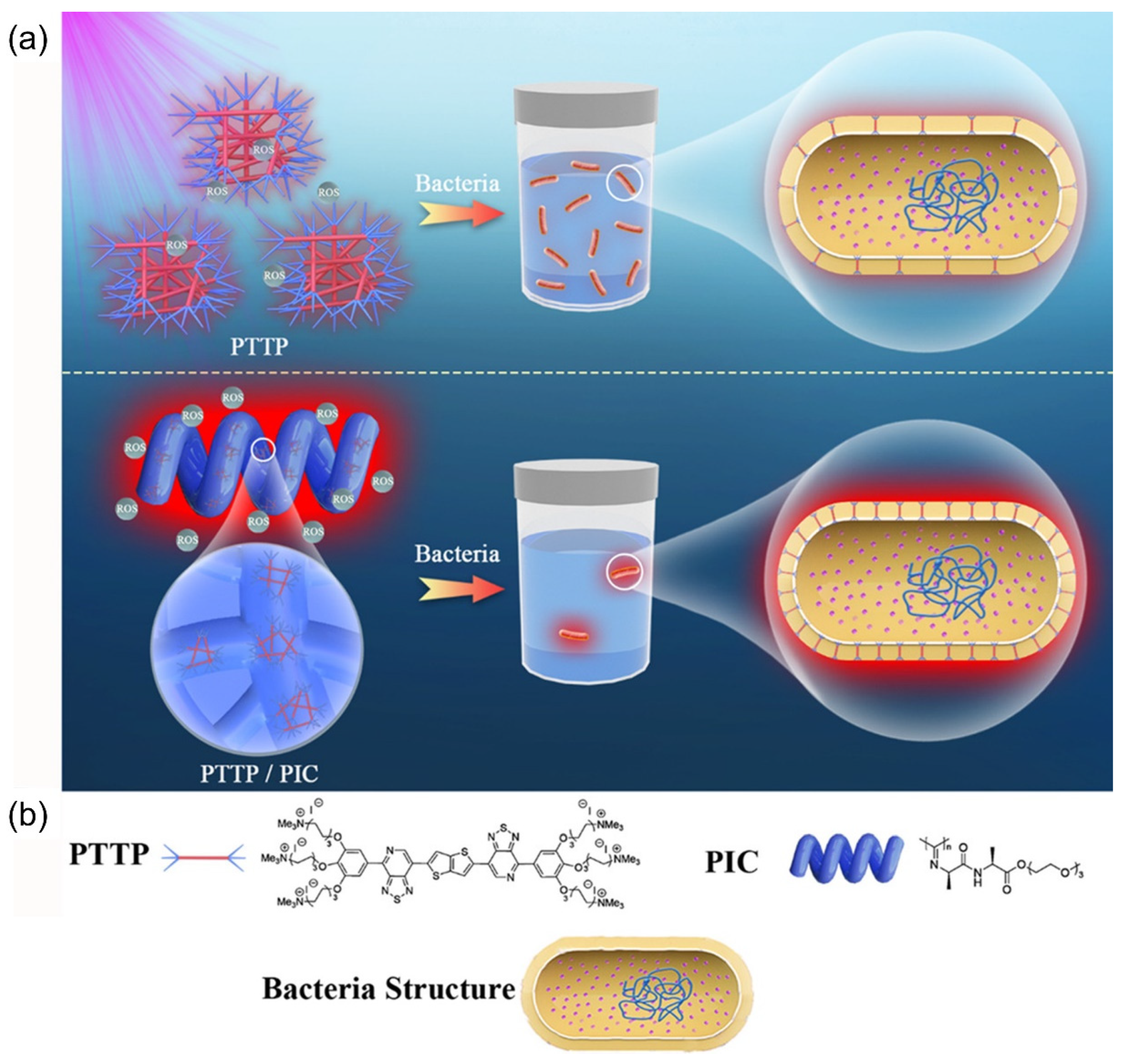Polymers 14 03657 g006