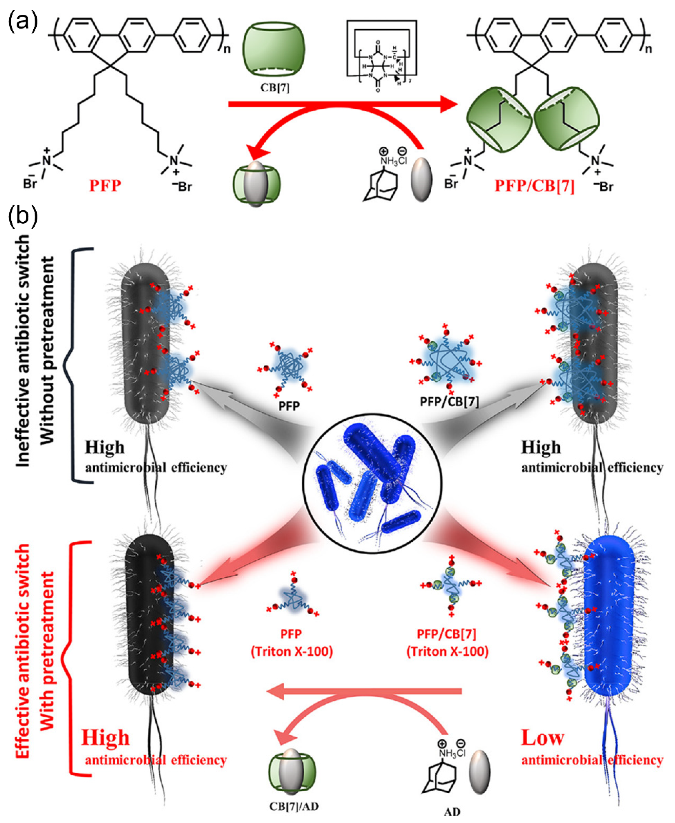 Polymers 14 03657 g008