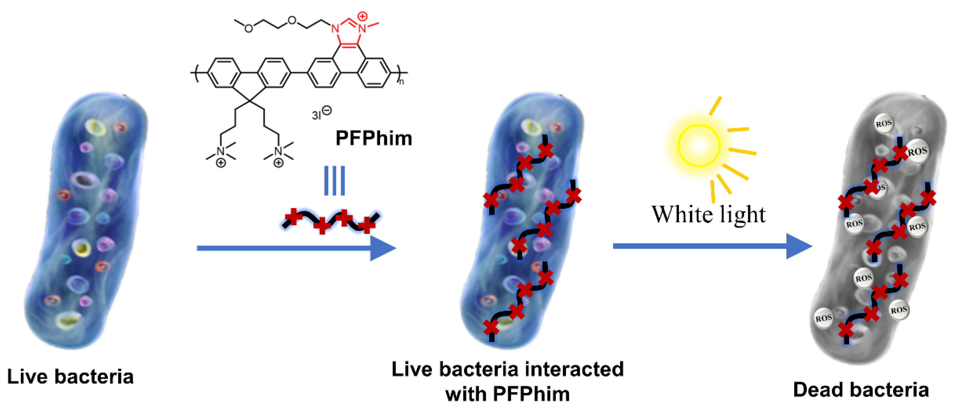 Polymers 14 03657 g009