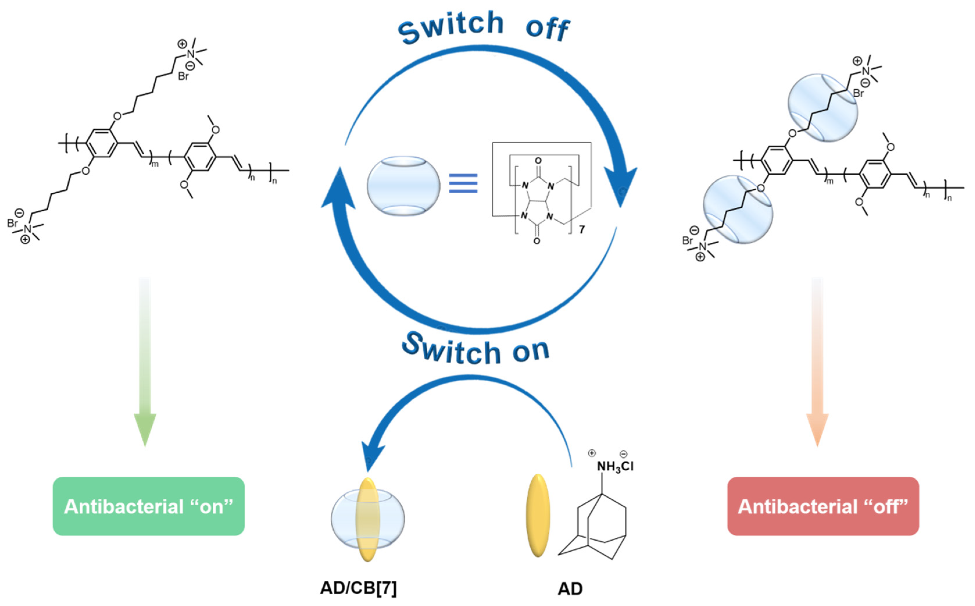 Polymers 14 03657 g012