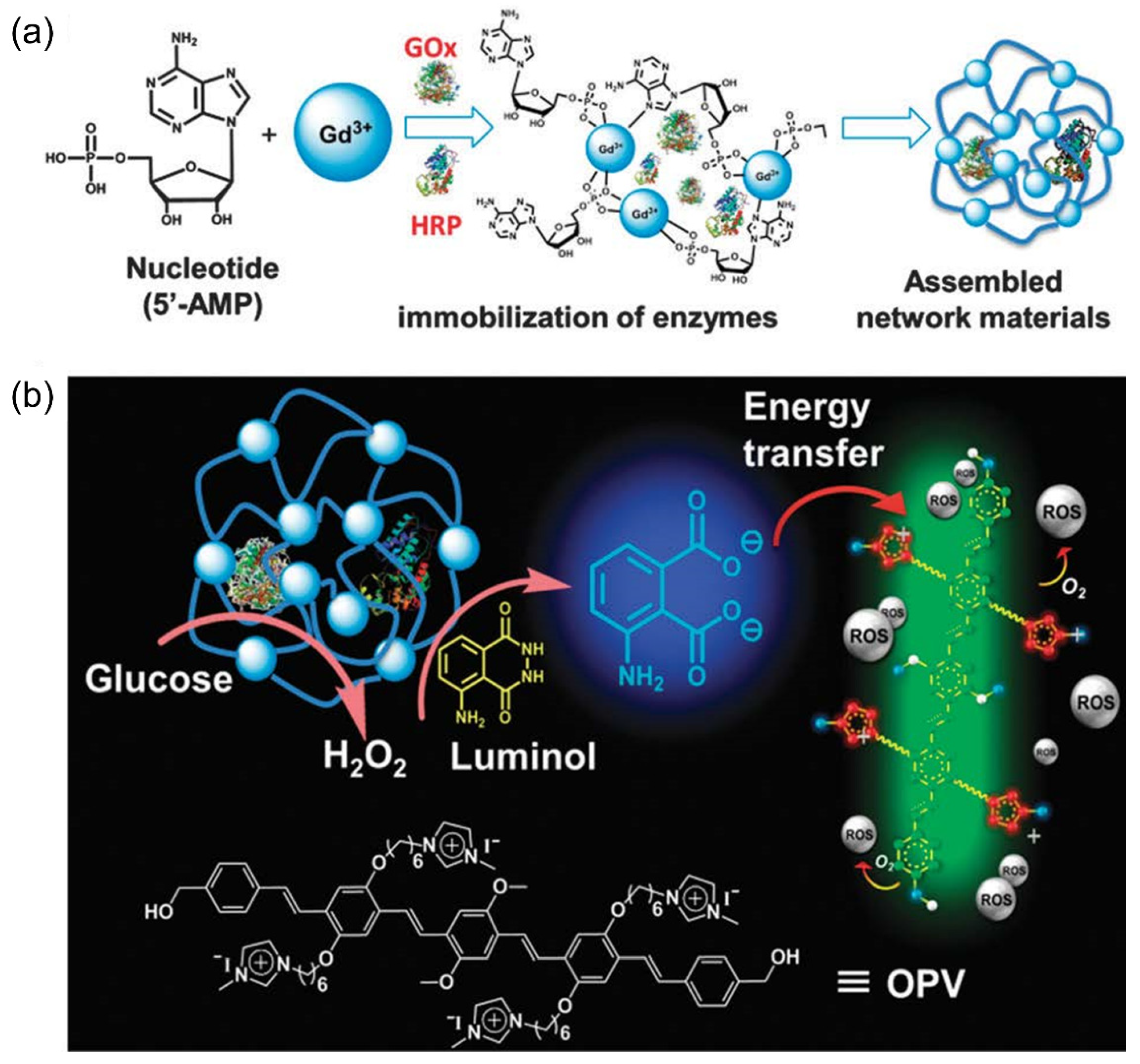 Polymers 14 03657 g013
