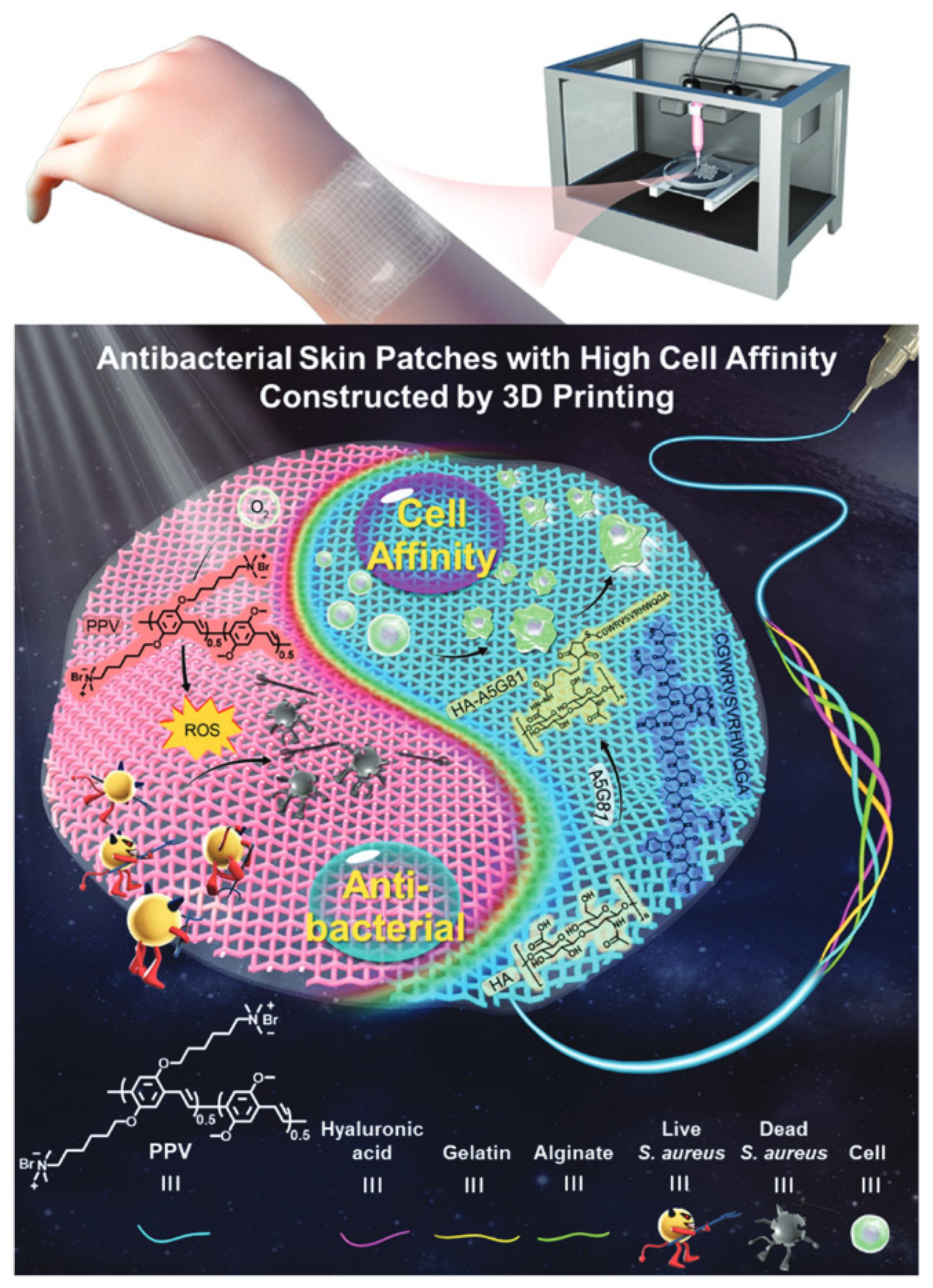 Polymers 14 03657 g014