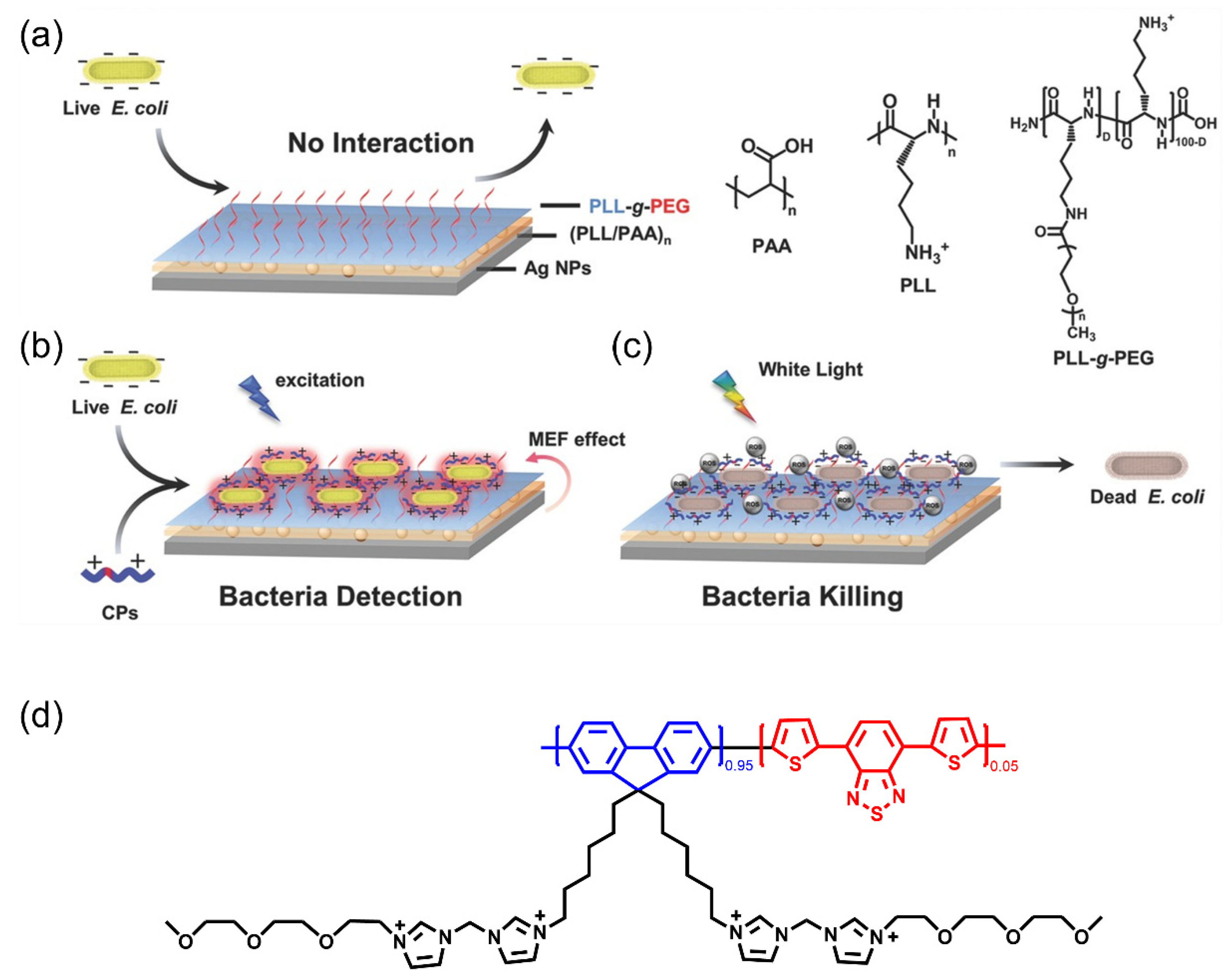 Polymers 14 03657 g015