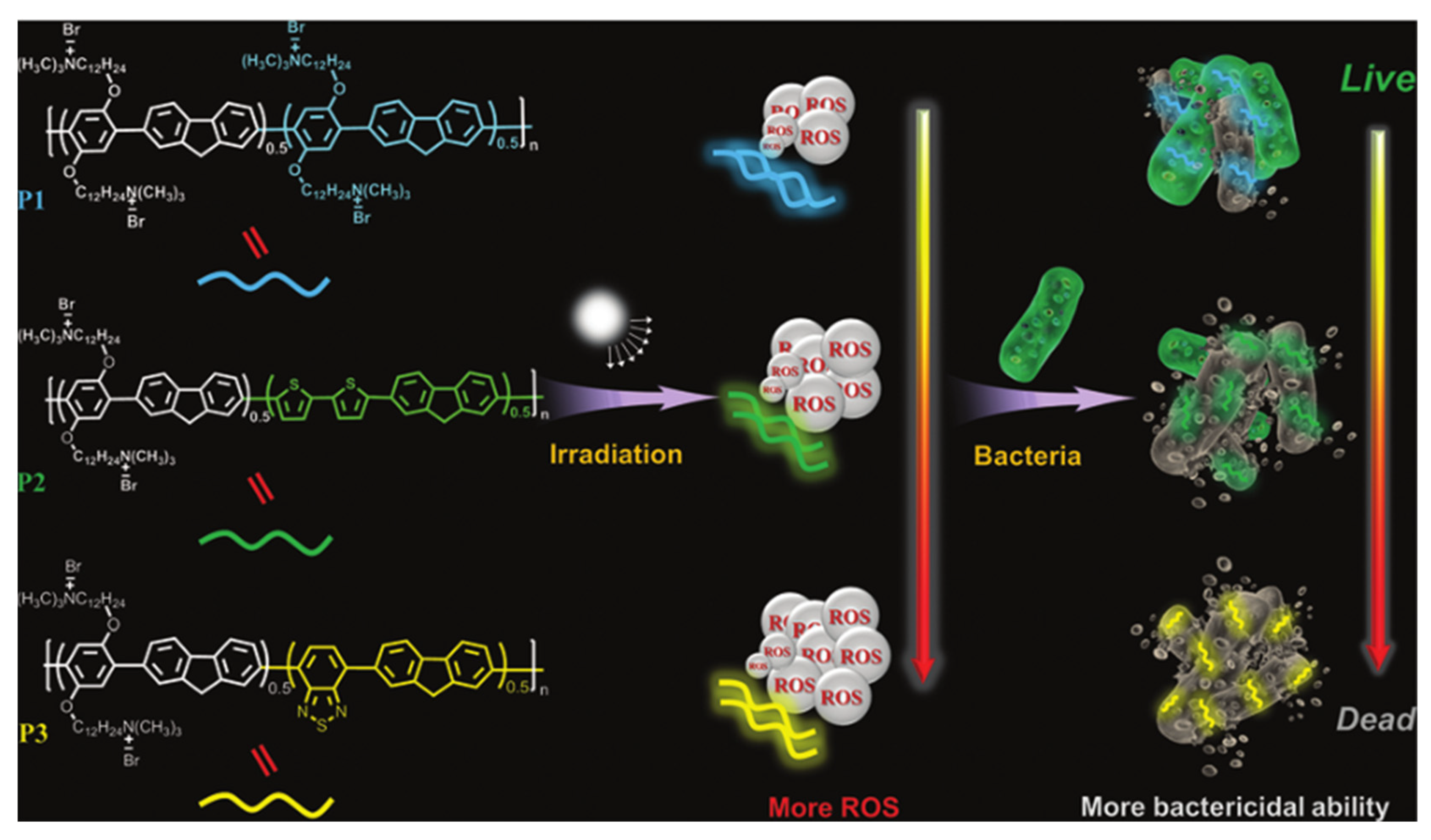 Polymers 14 03657 g016