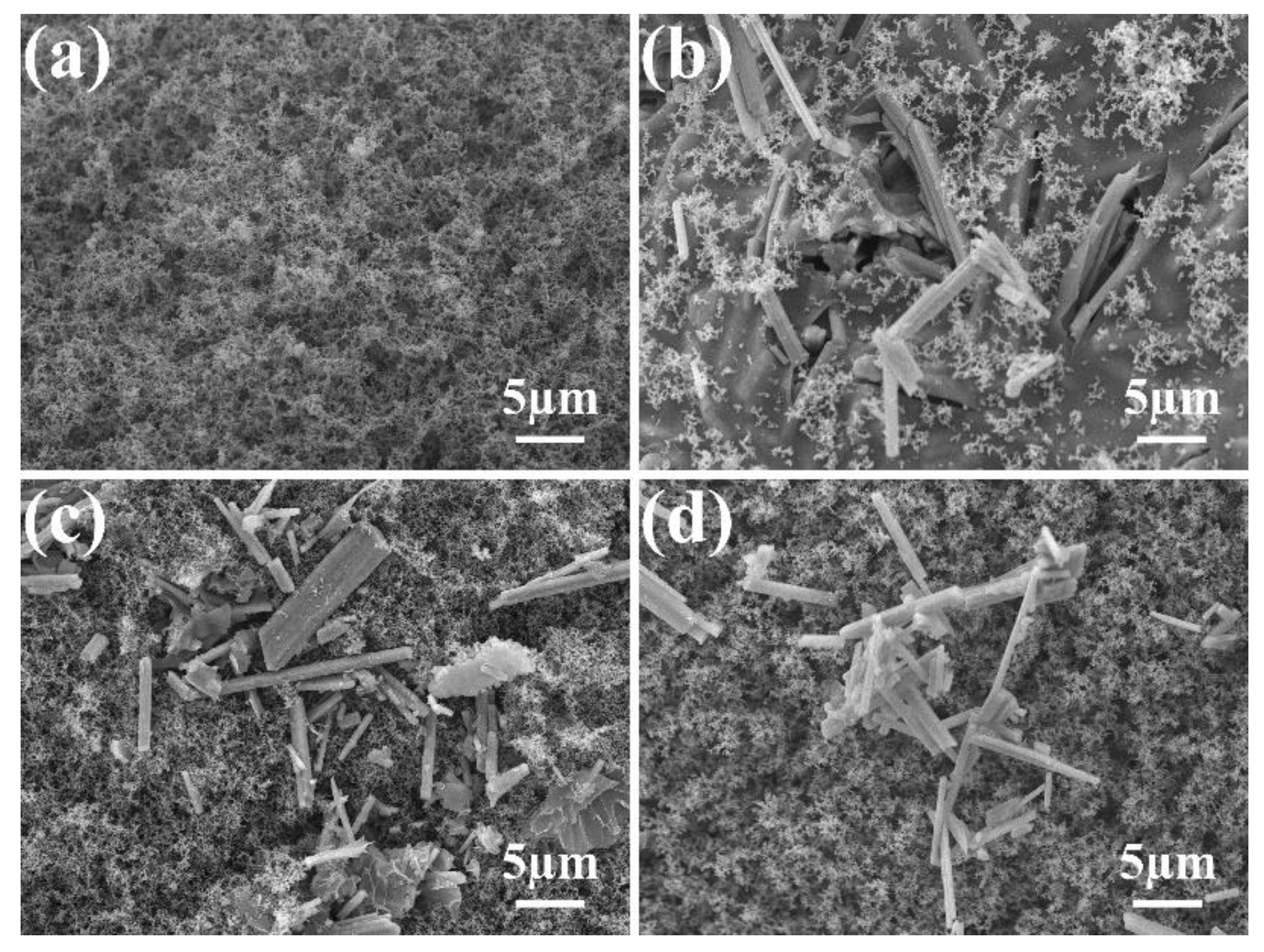 Polymers 14 03661 g013