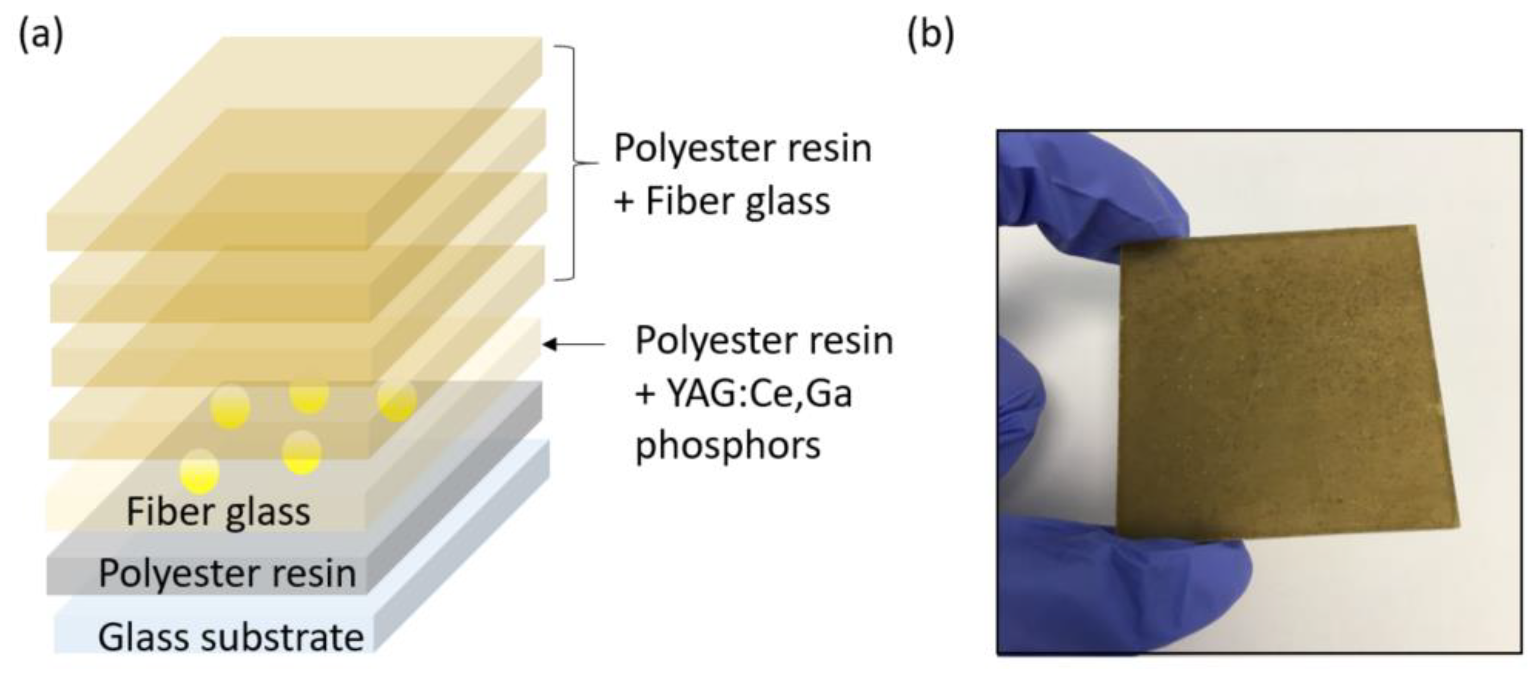 Polymers 14 03666 g002