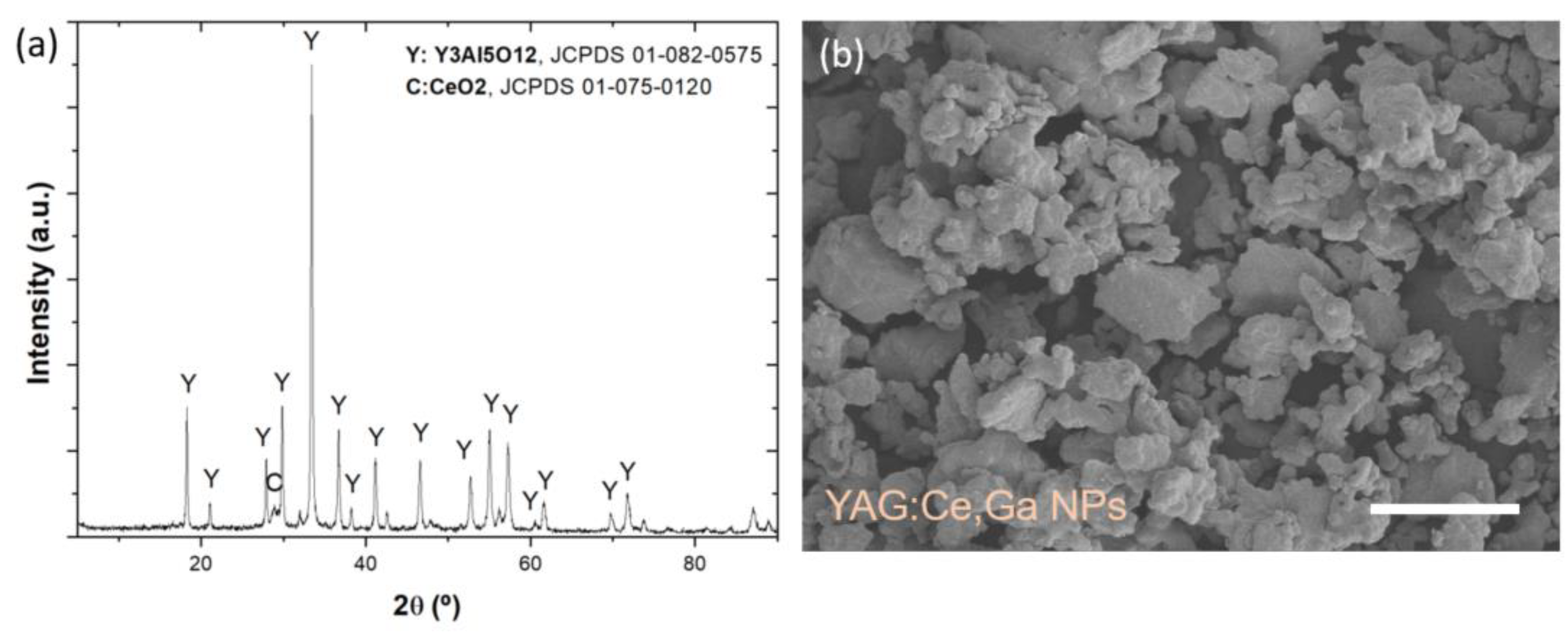 Polymers 14 03666 g003