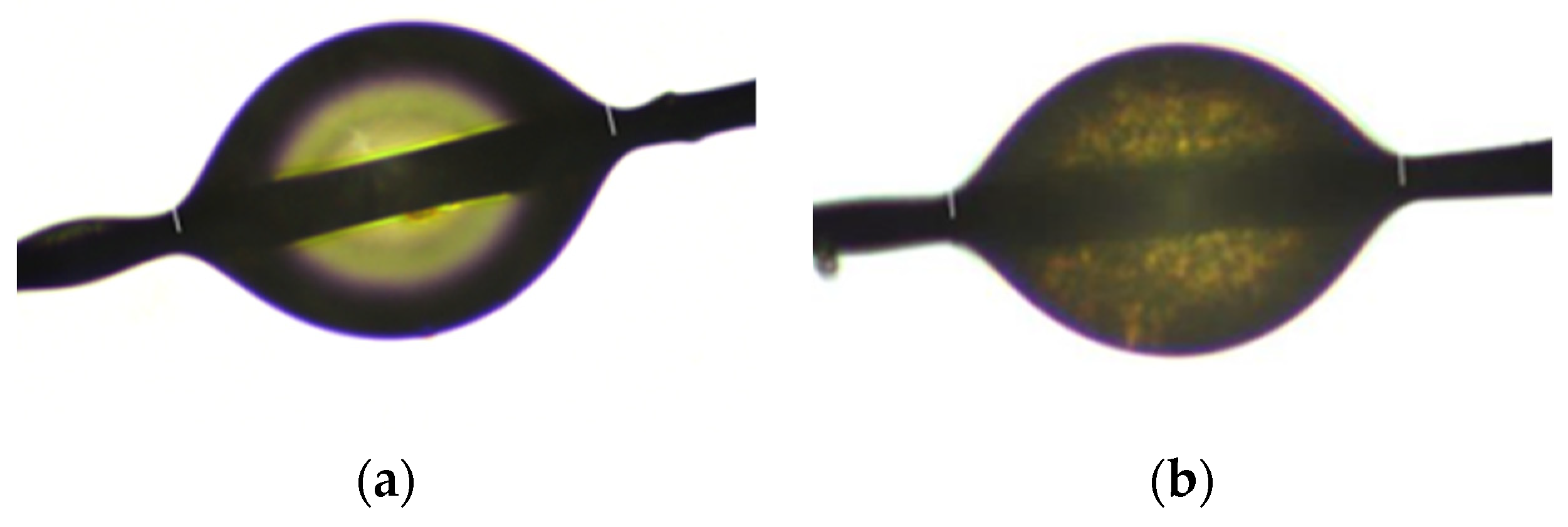 Polymers 14 03692 g002