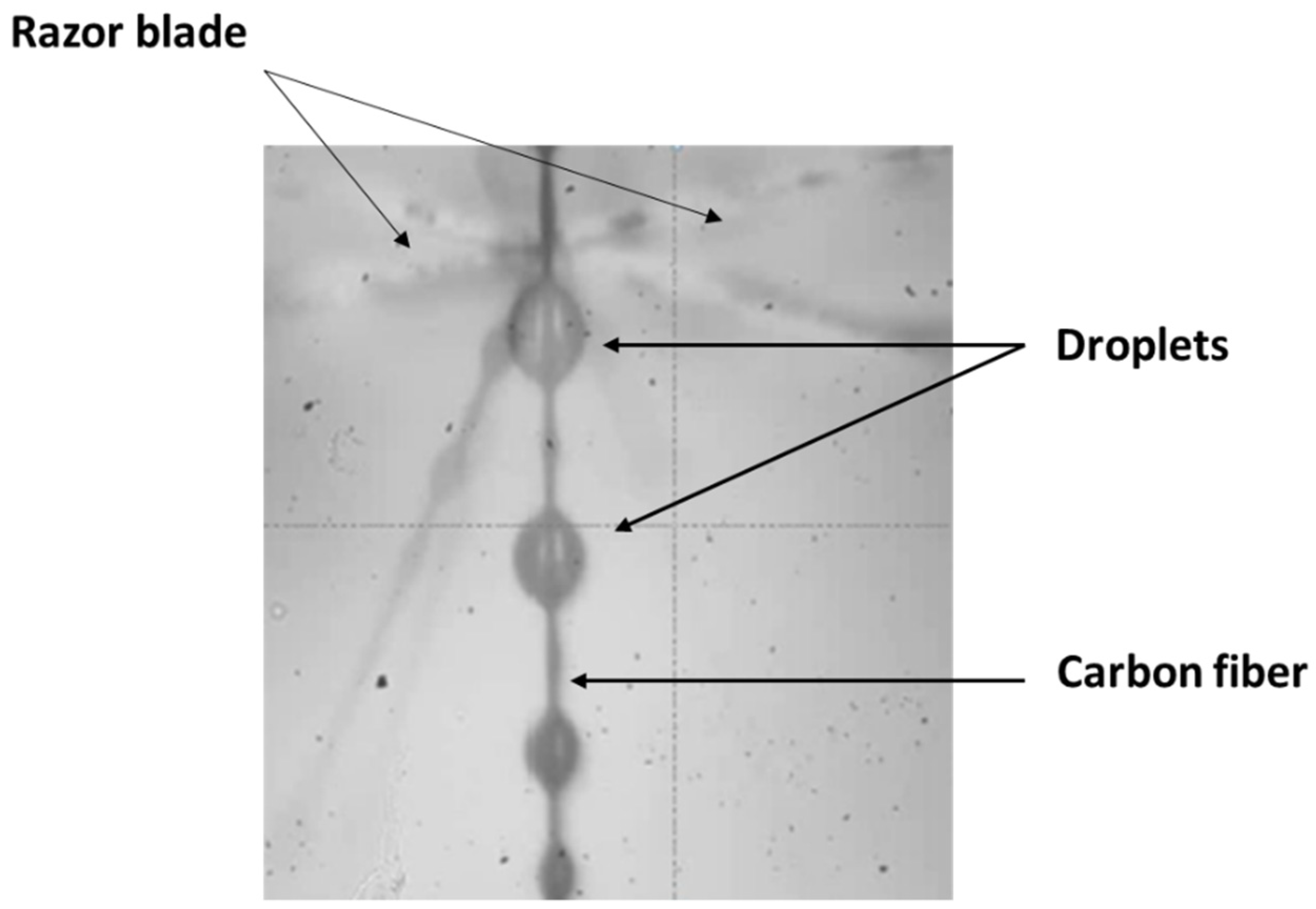 Polymers 14 03692 g007