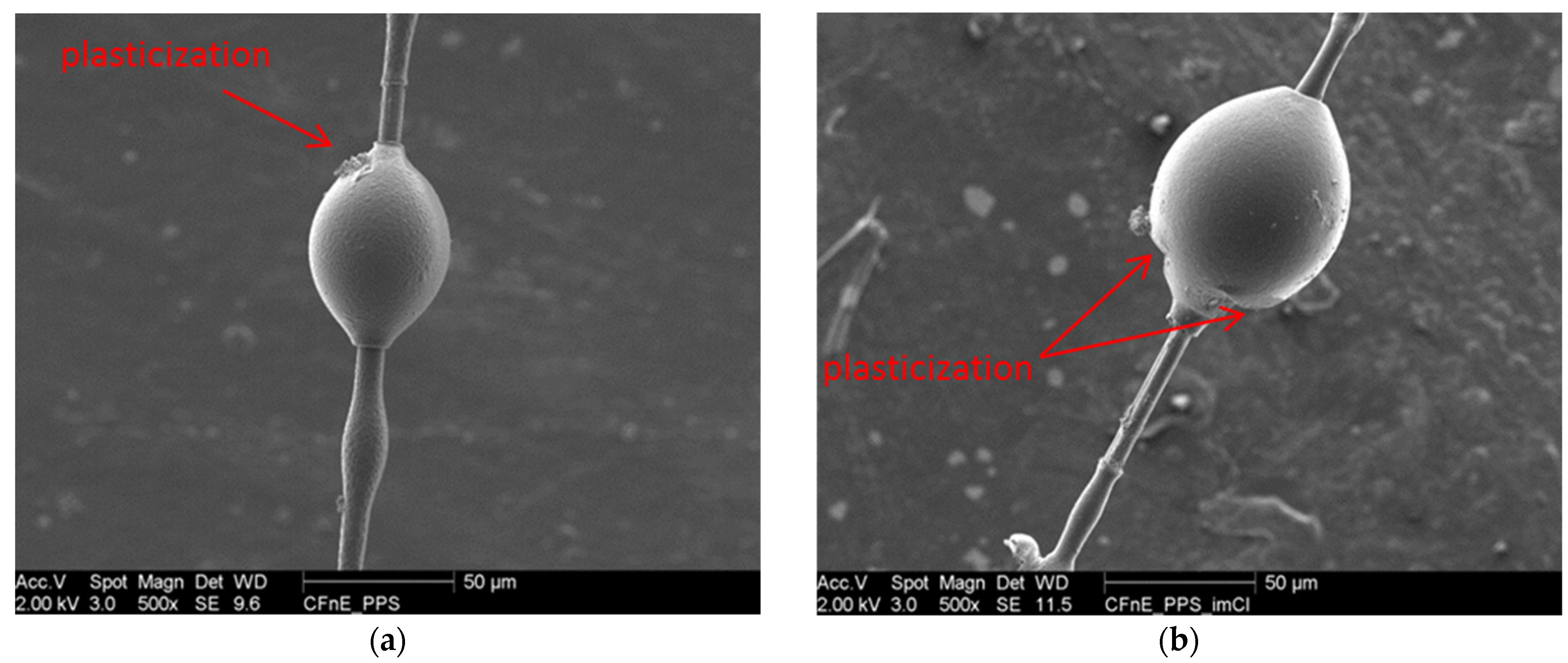 Polymers 14 03692 g008