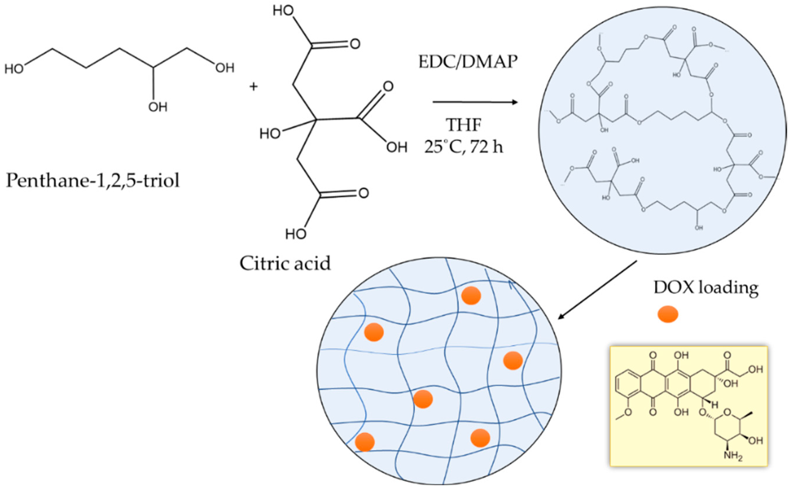 Polymers 14 03694 g001