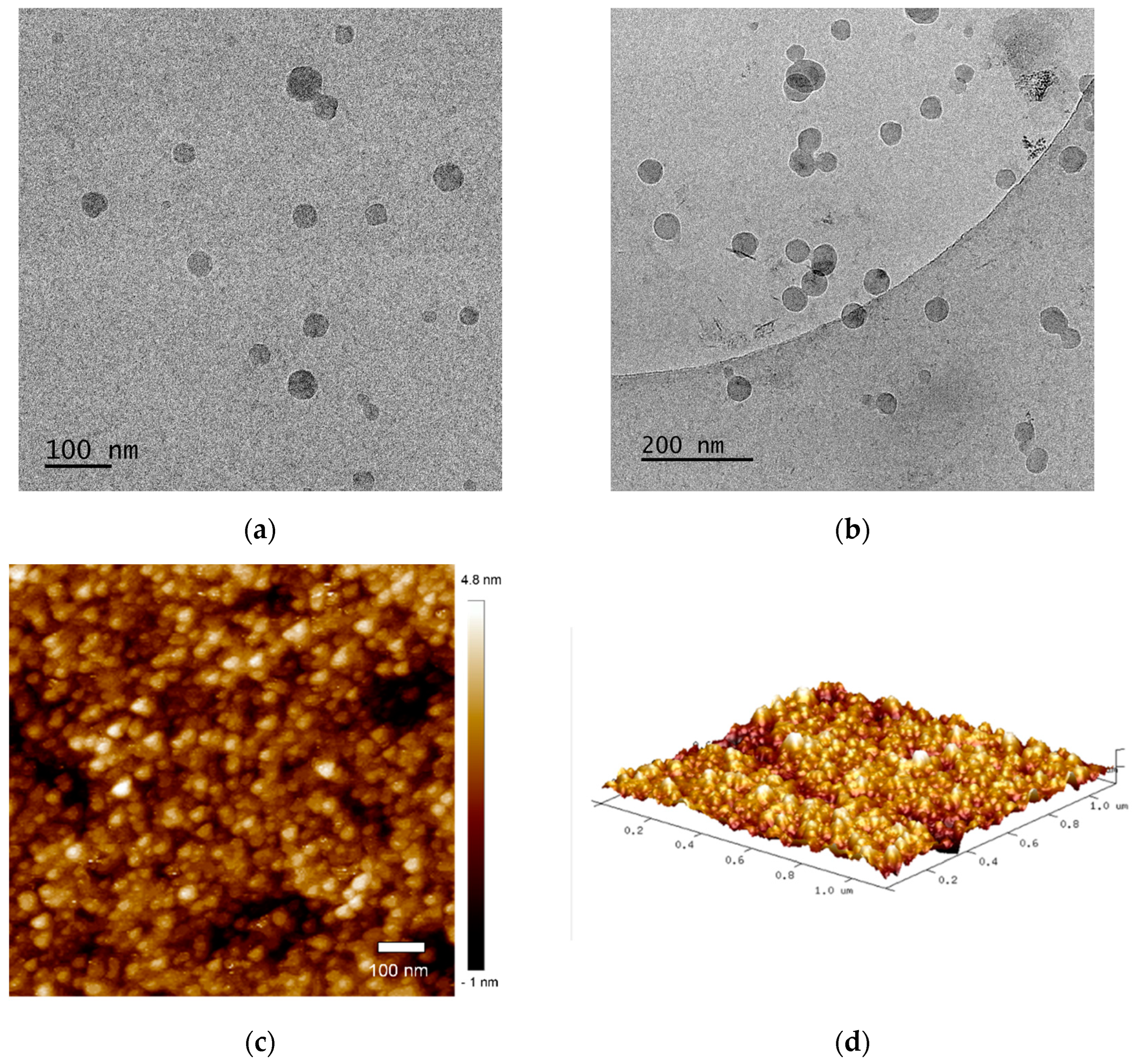 Polymers 14 03694 g004