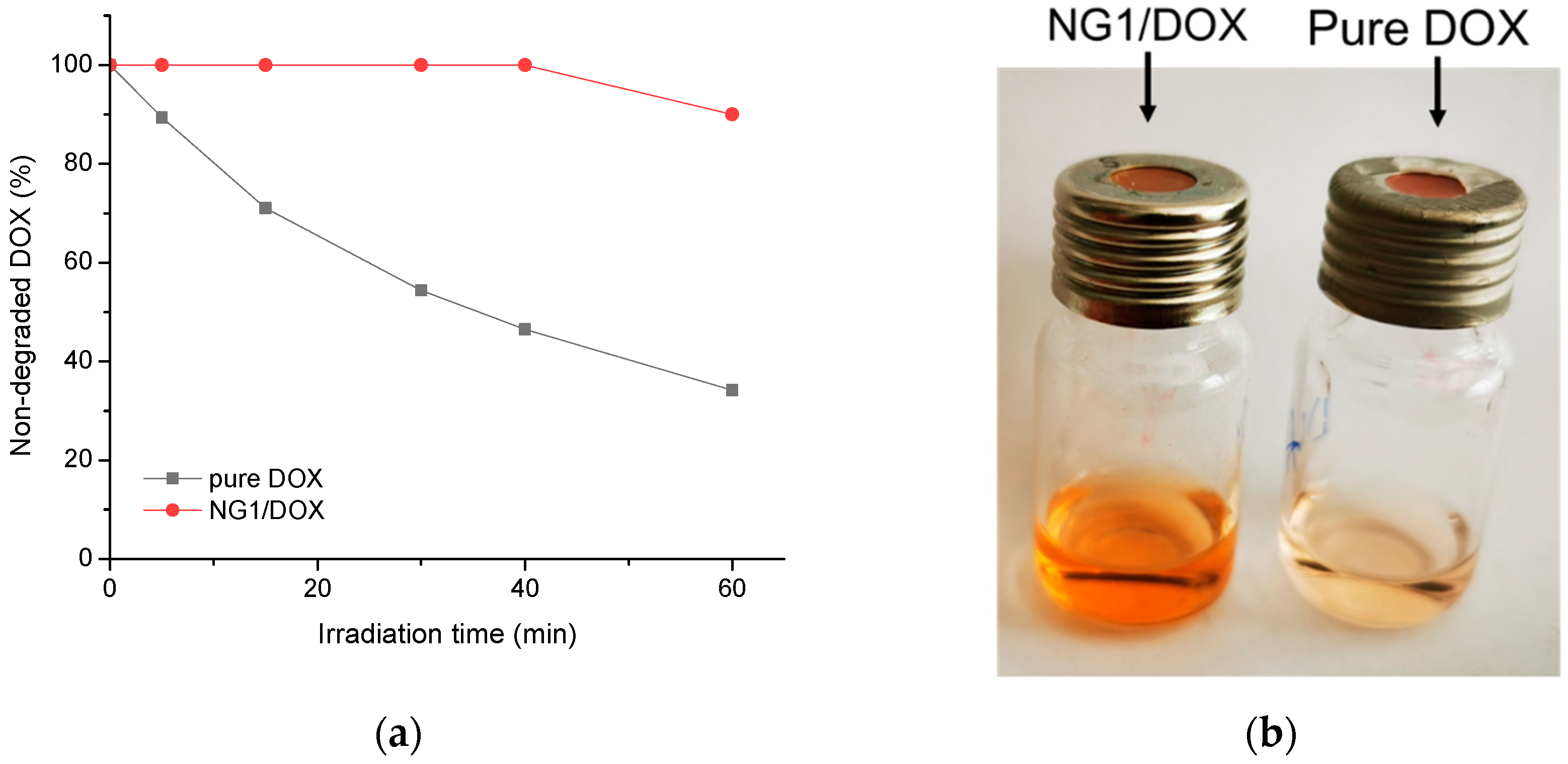 Polymers 14 03694 g008