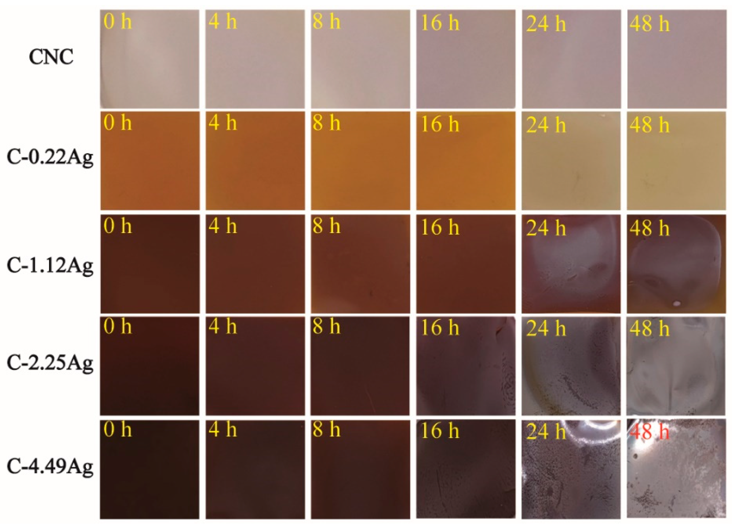 Polymers 14 03695 g008