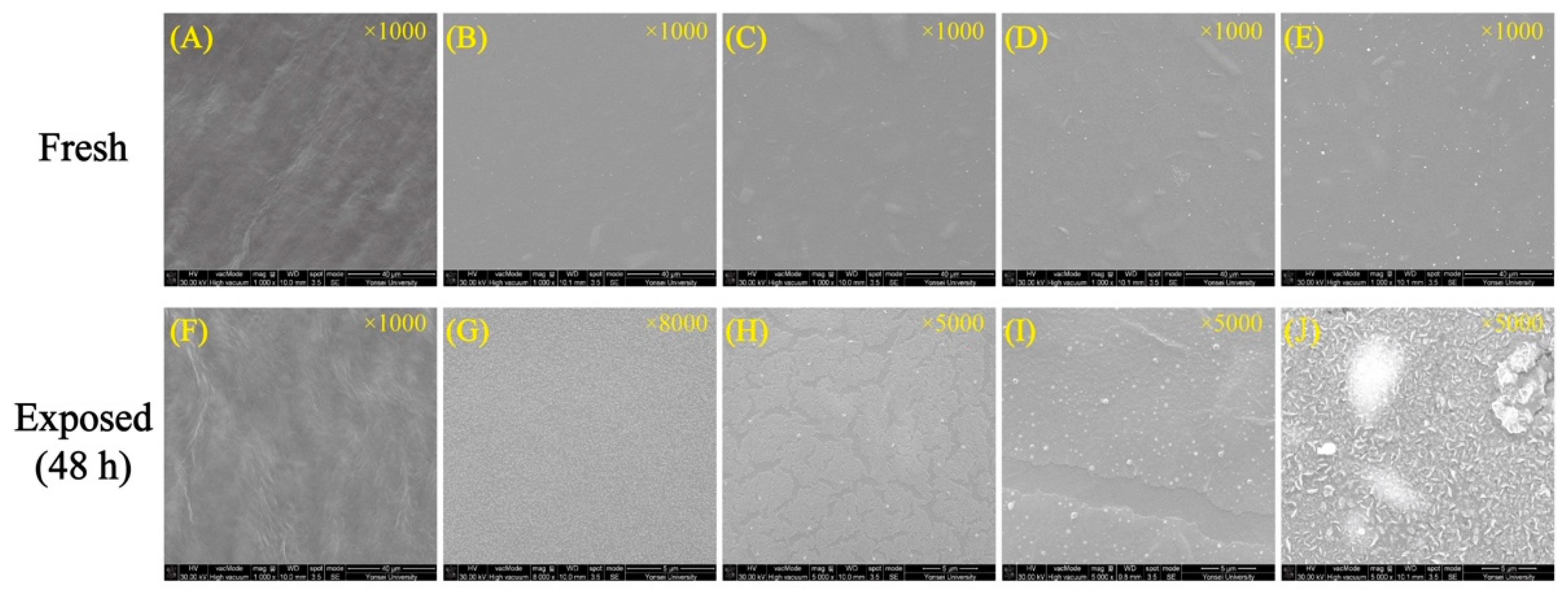 Polymers 14 03695 g009