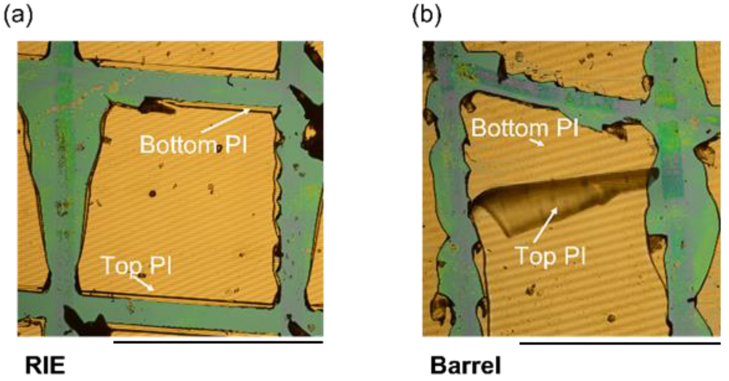 Polymers 14 03702 g007