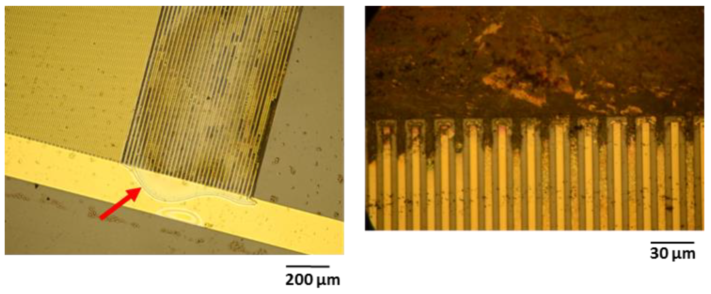 Polymers 14 03702 g009