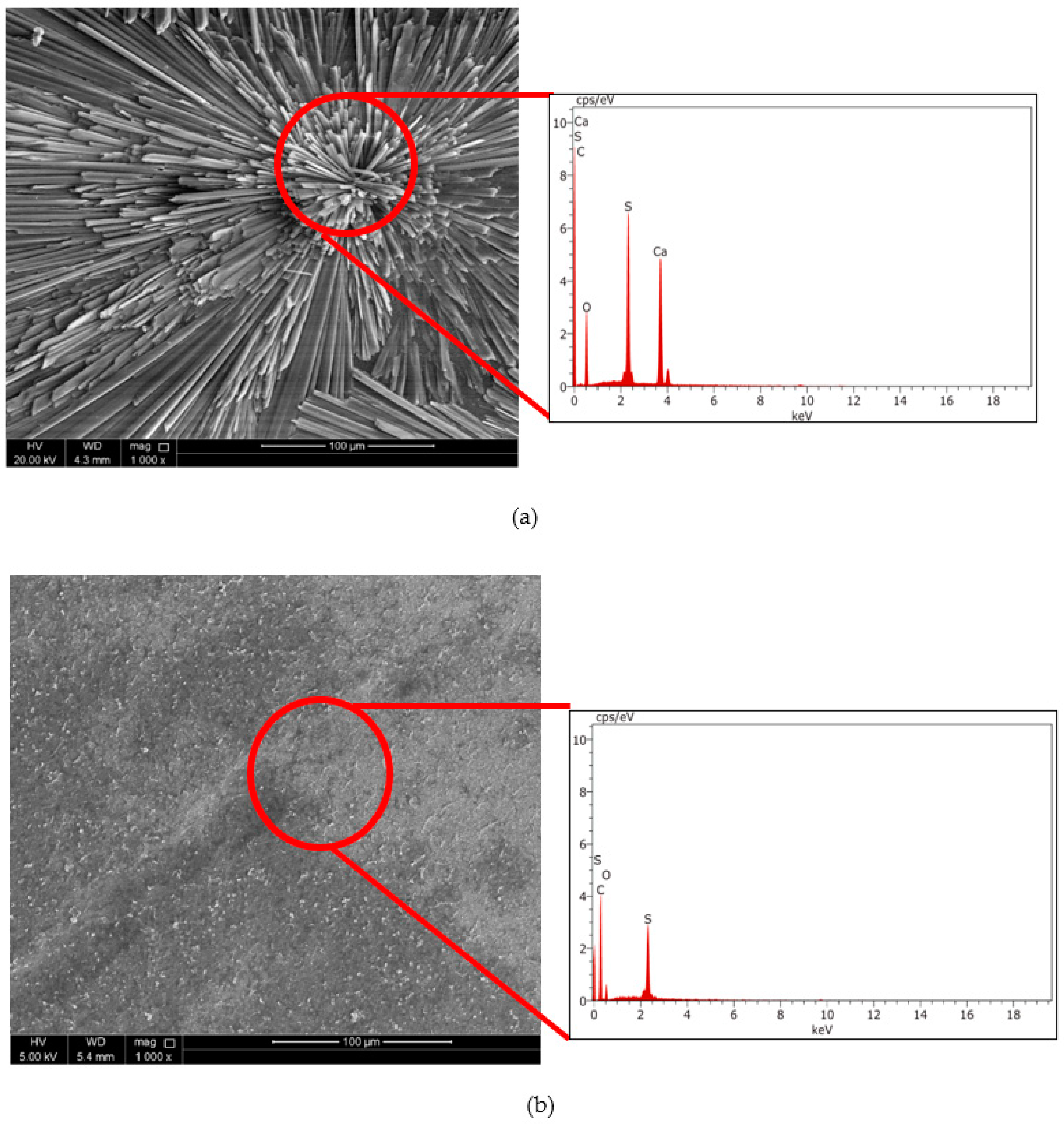 Polymers 14 03711 g012