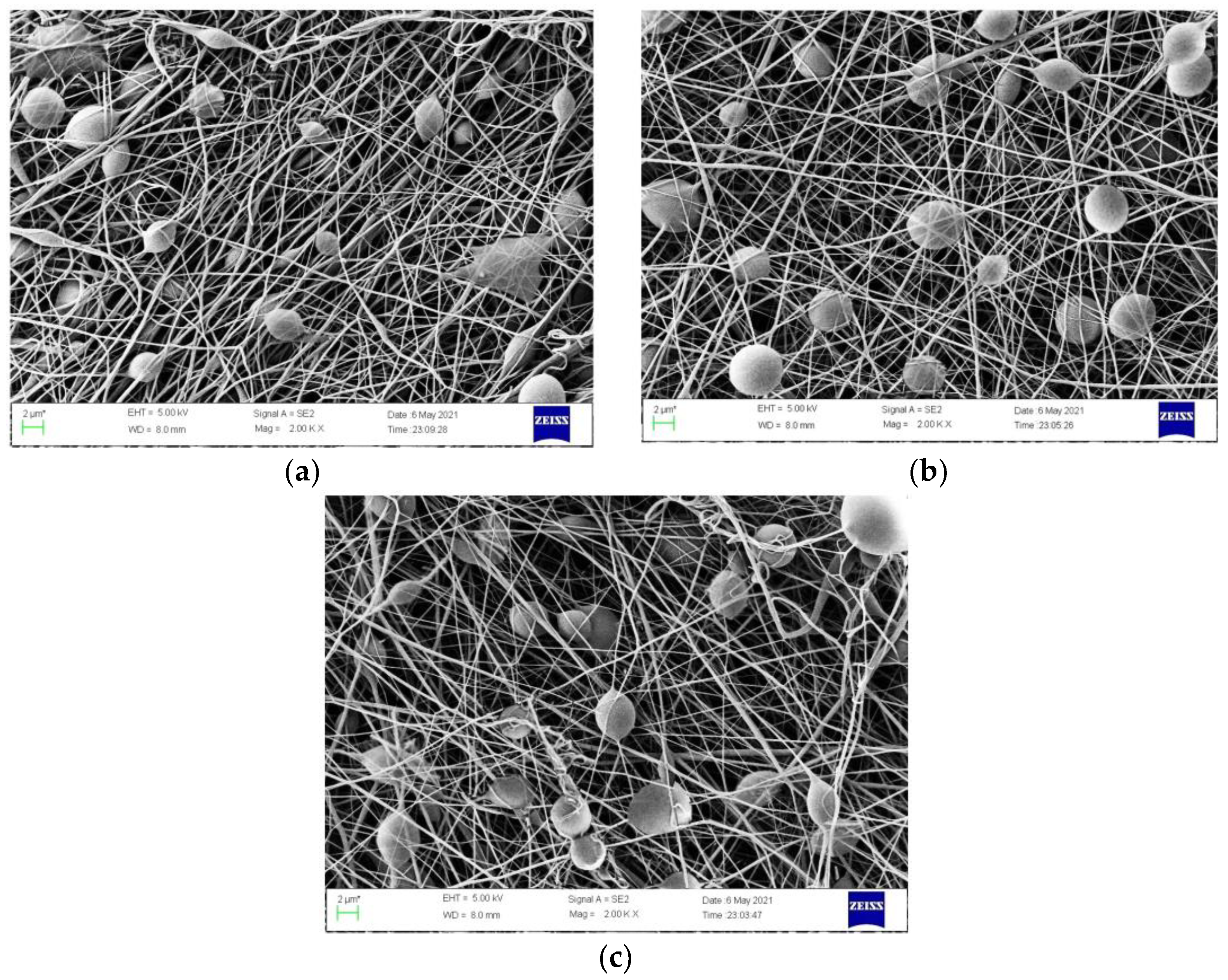 Polymers 14 03714 g002