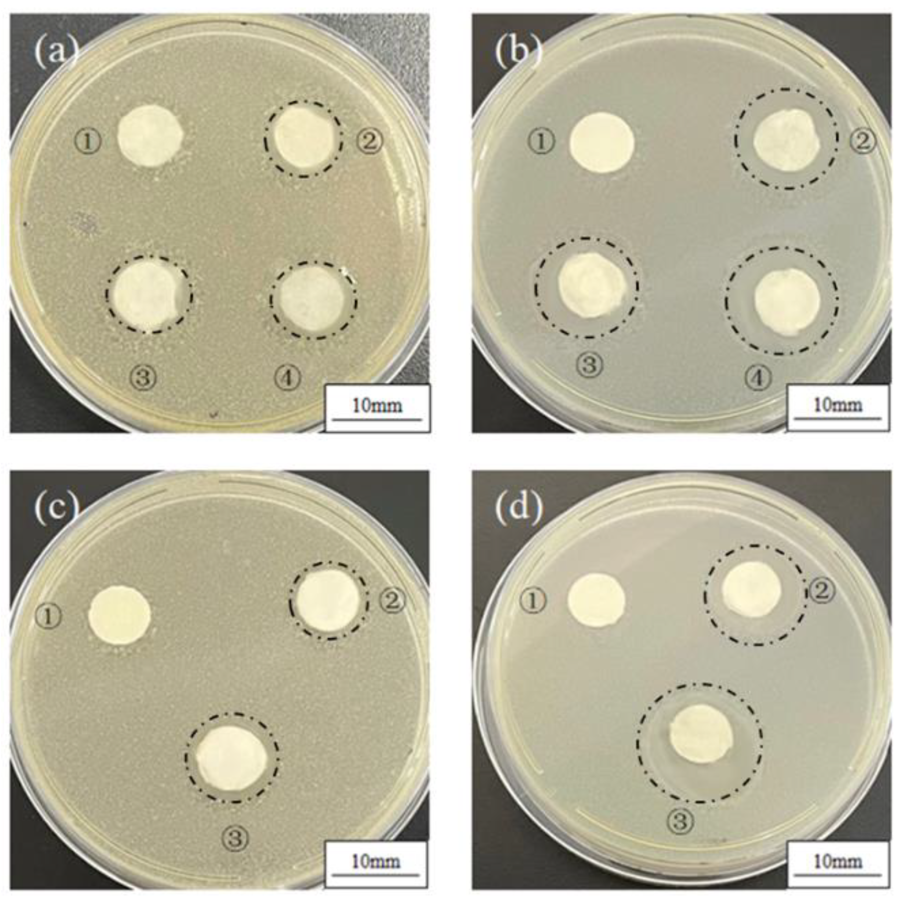 Polymers 14 03714 g005