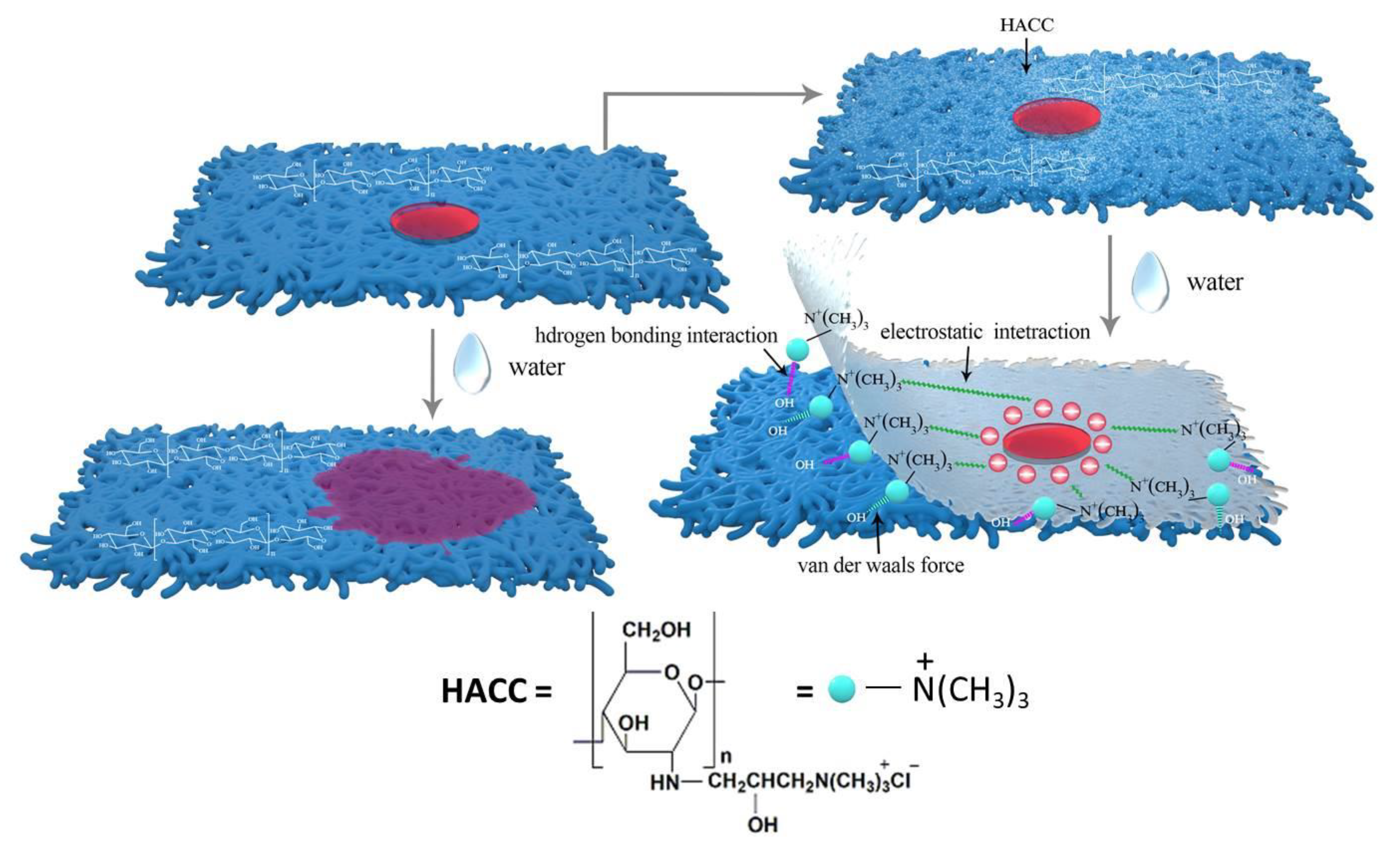 Polymers 14 03717 g016