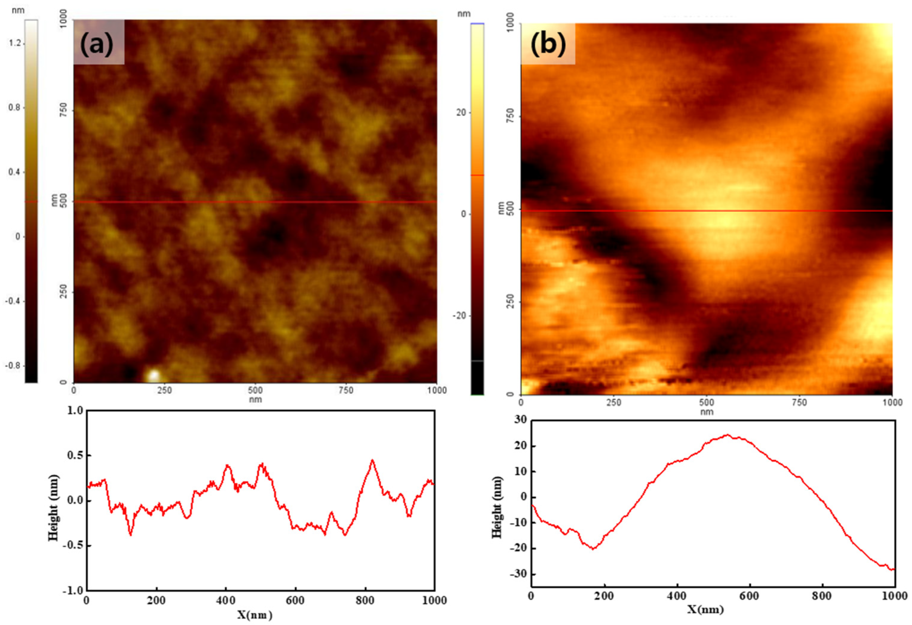 Polymers 14 03718 g002