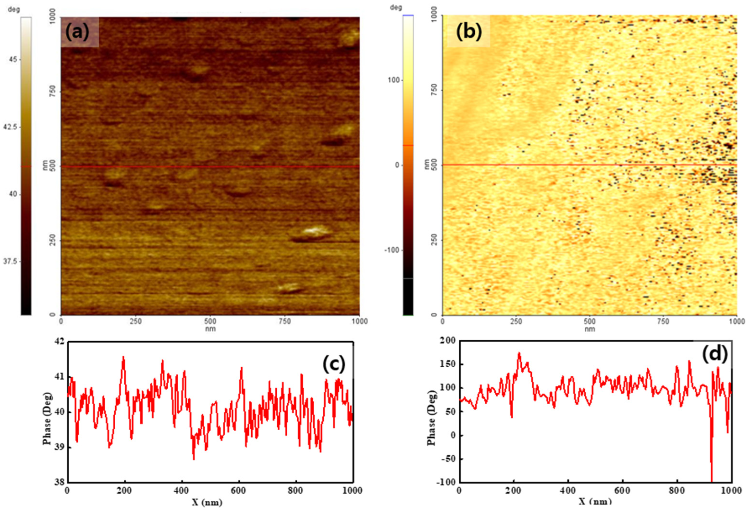 Polymers 14 03718 g003