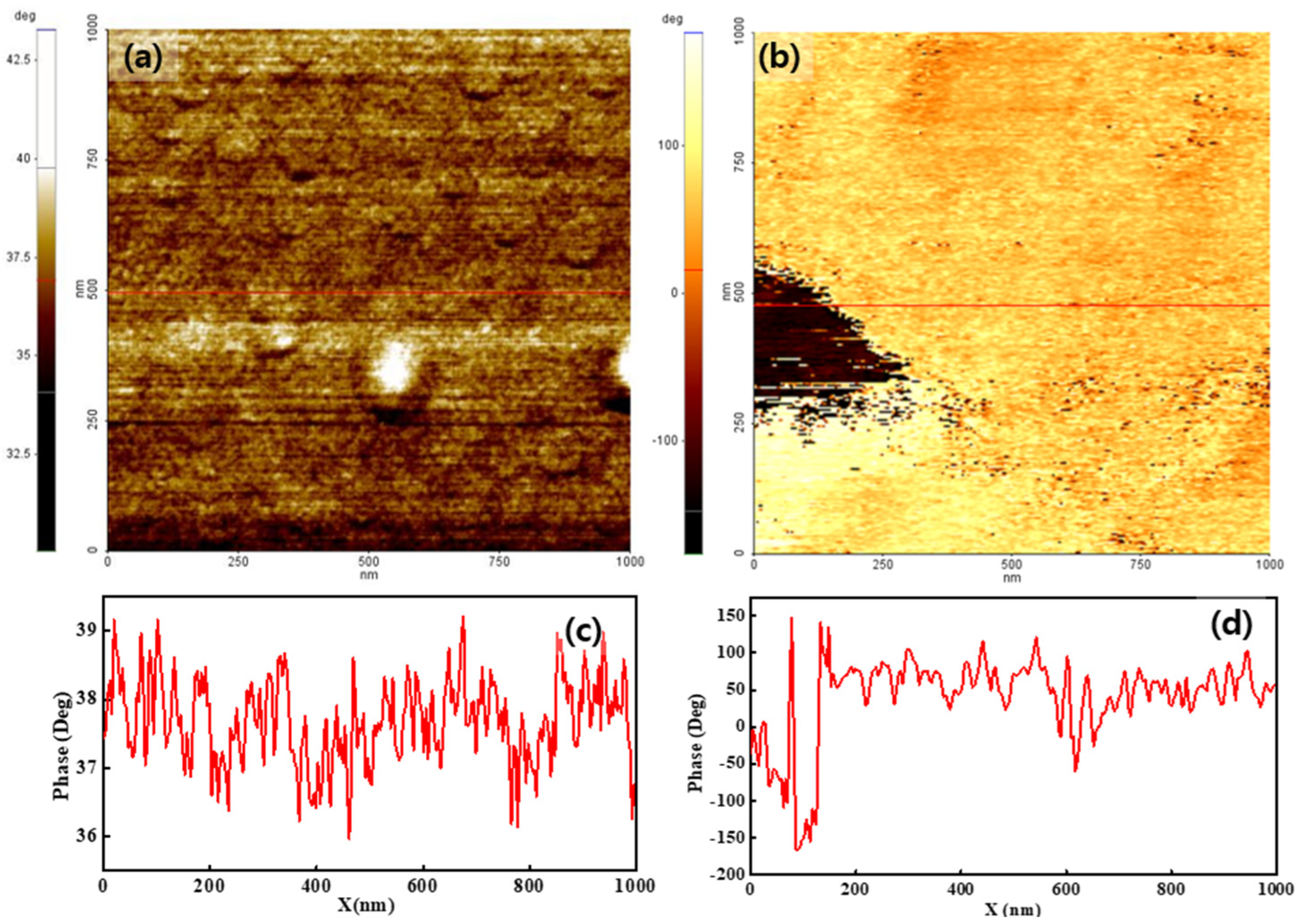 Polymers 14 03718 g004