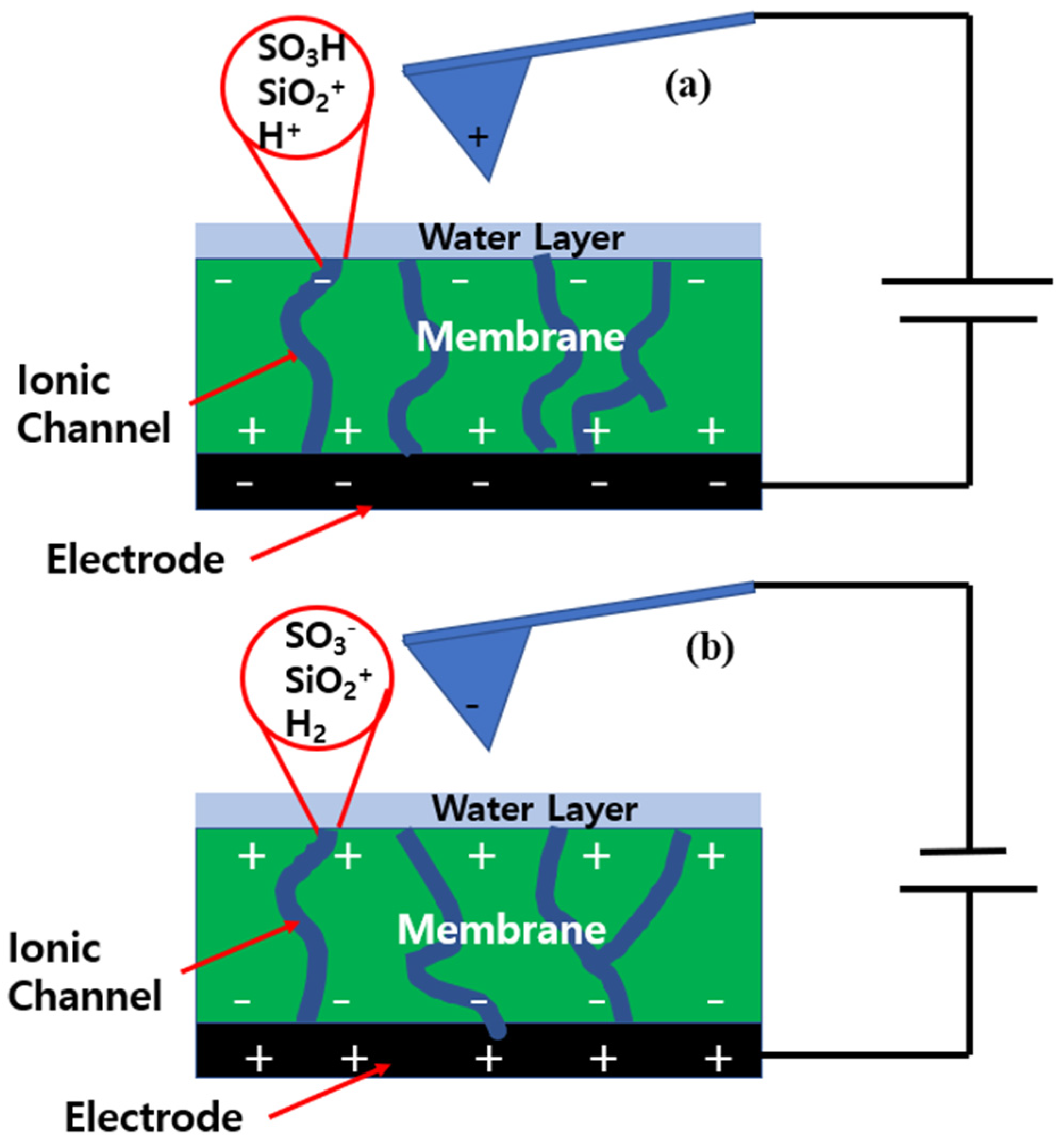 Polymers 14 03718 g007
