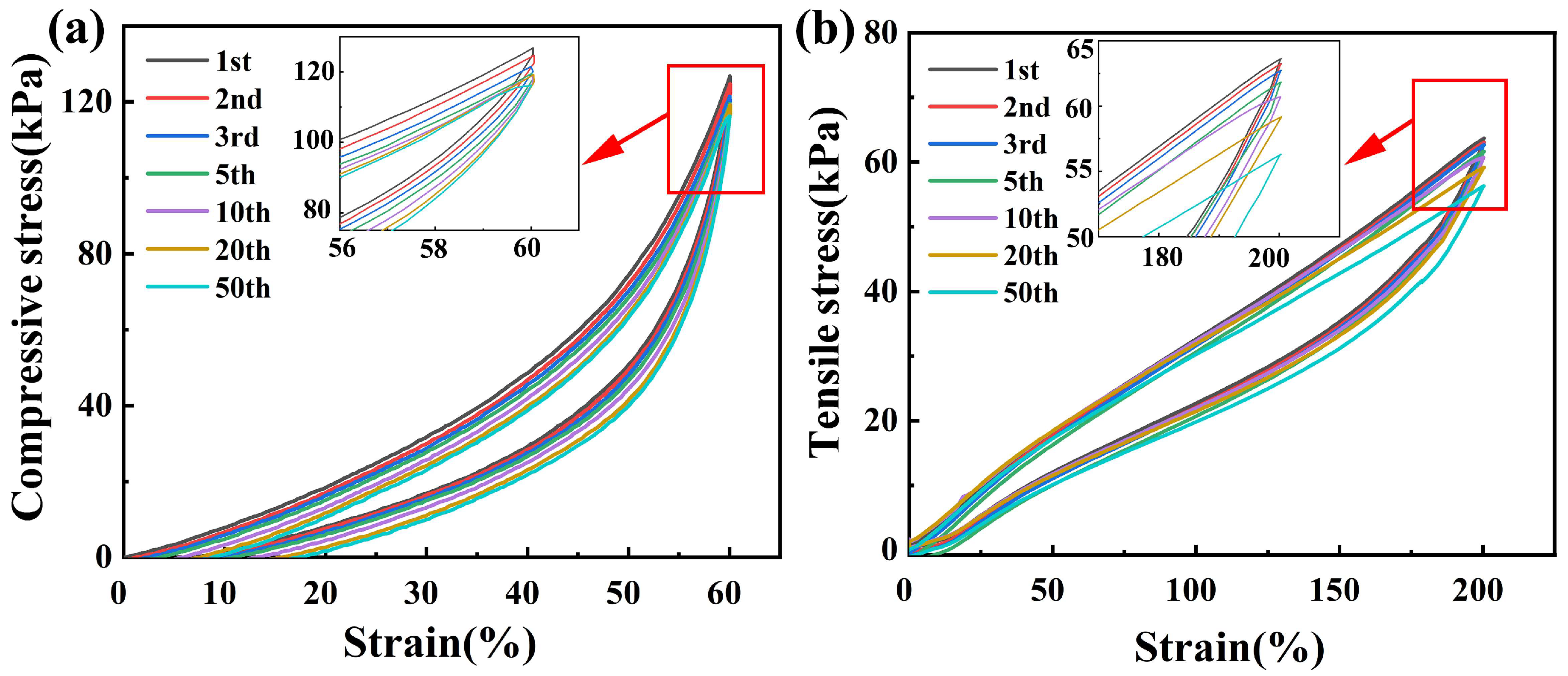 Polymers 14 03721 g004