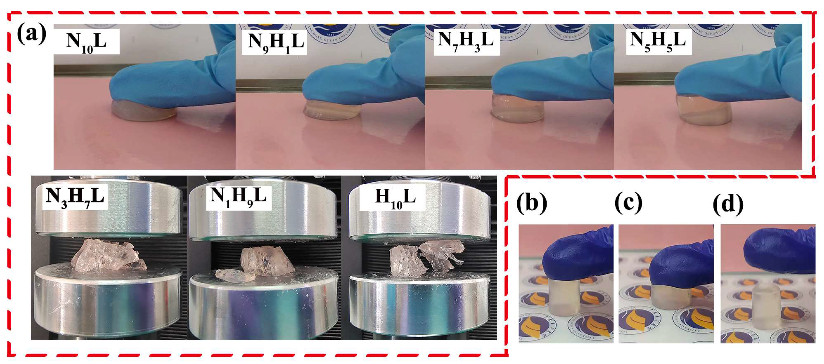 Polymers 14 03721 g005