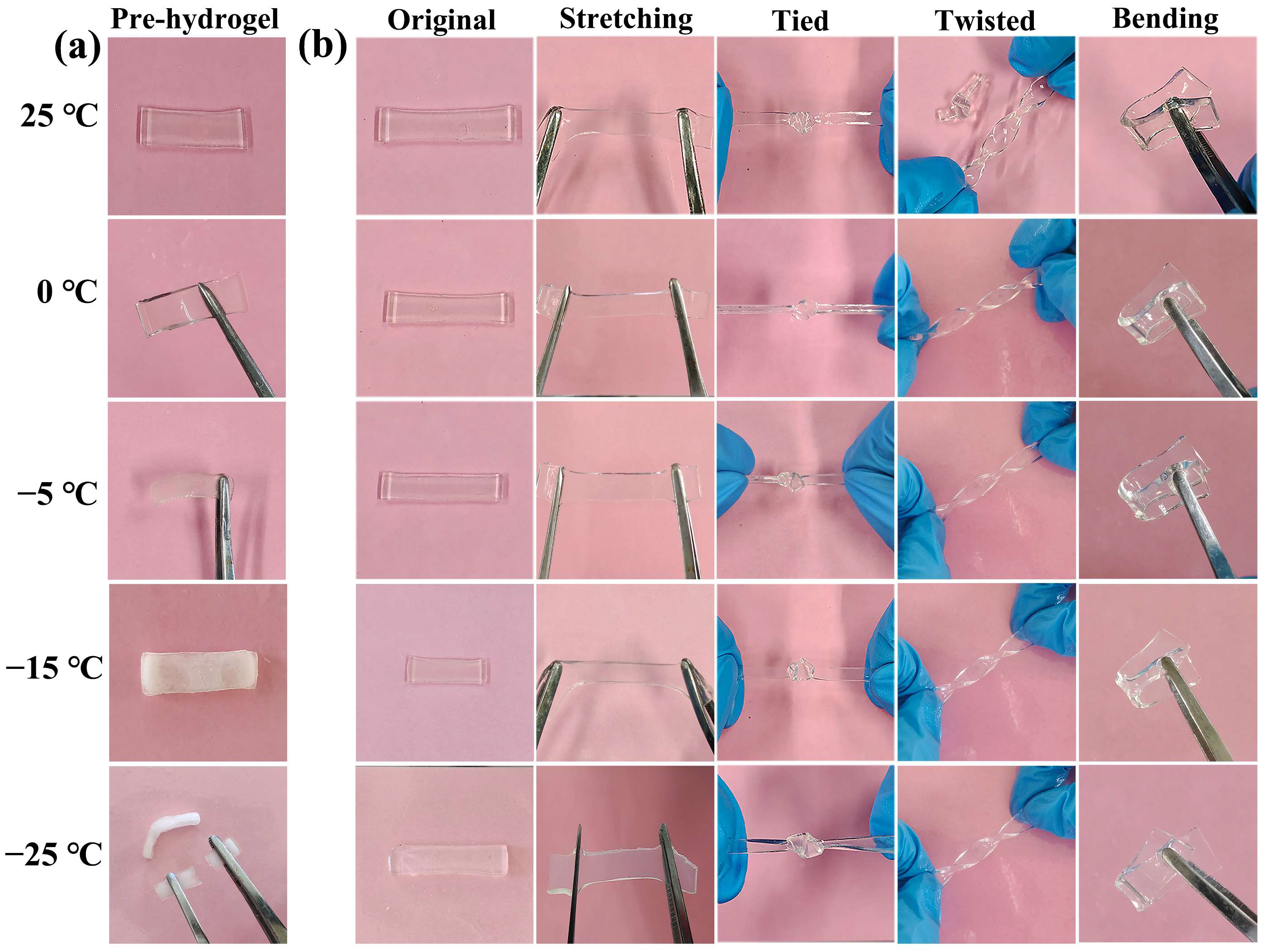 Polymers 14 03721 g006