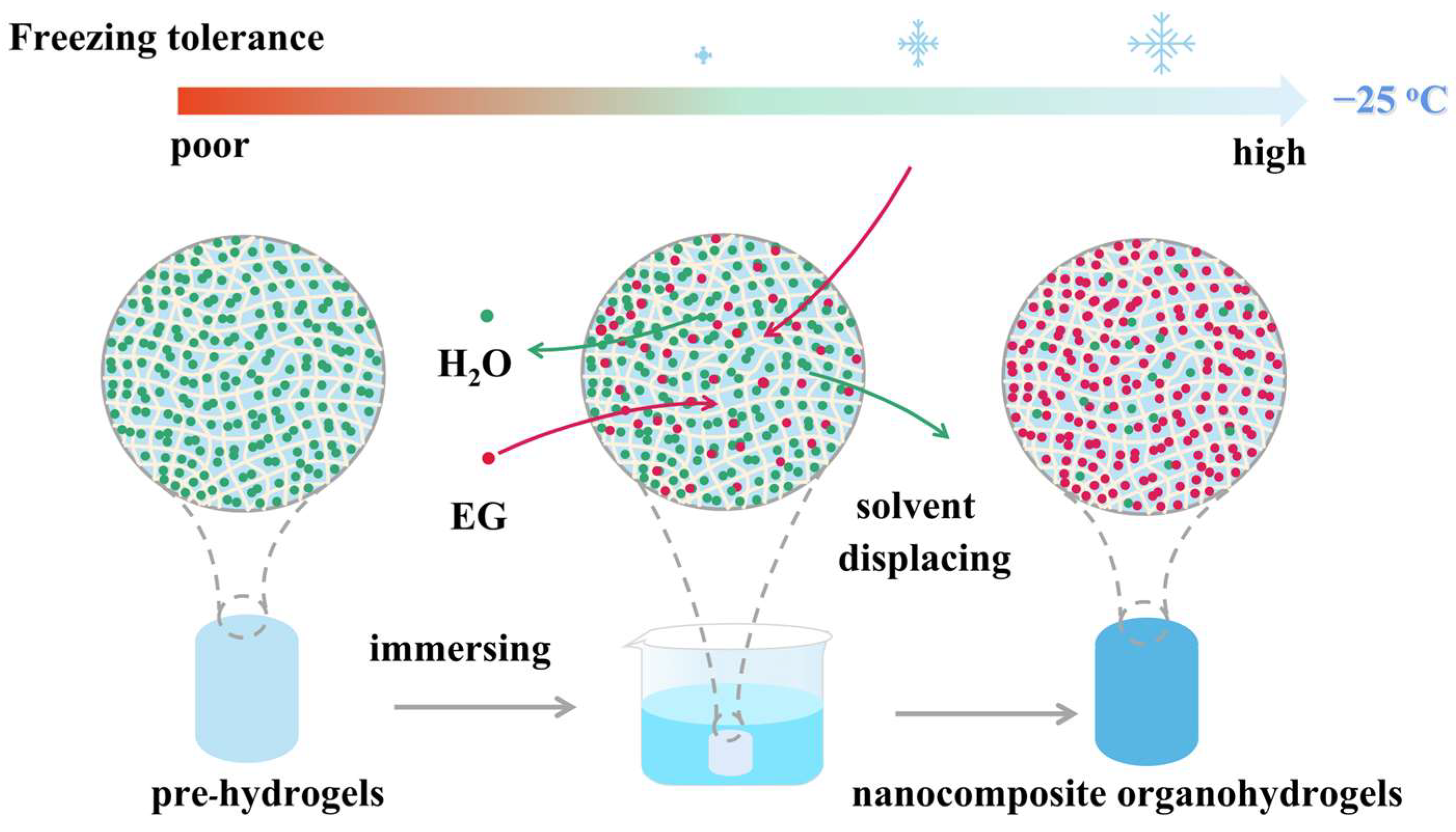 Polymers 14 03721 g007