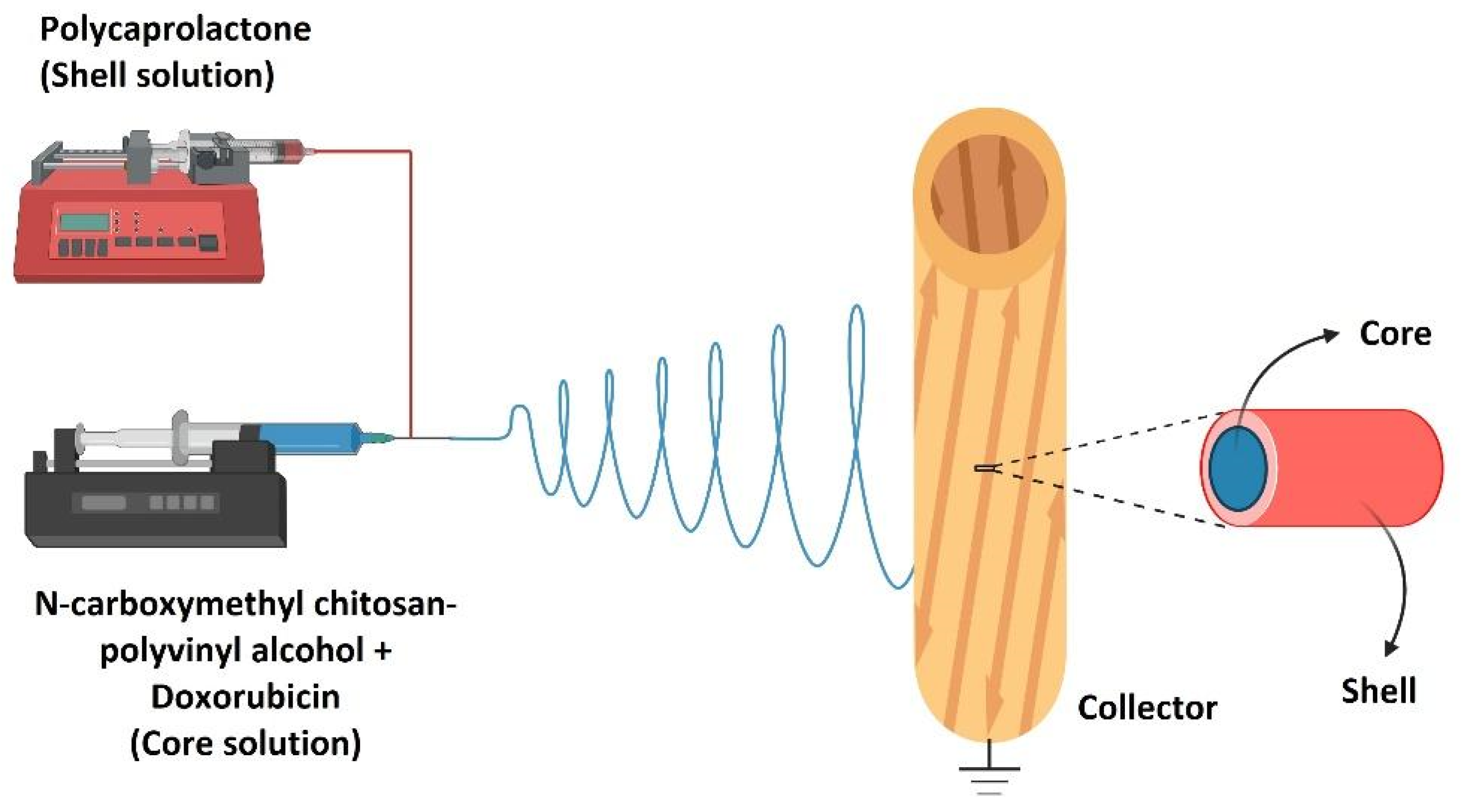 Polymers 14 03725 g006