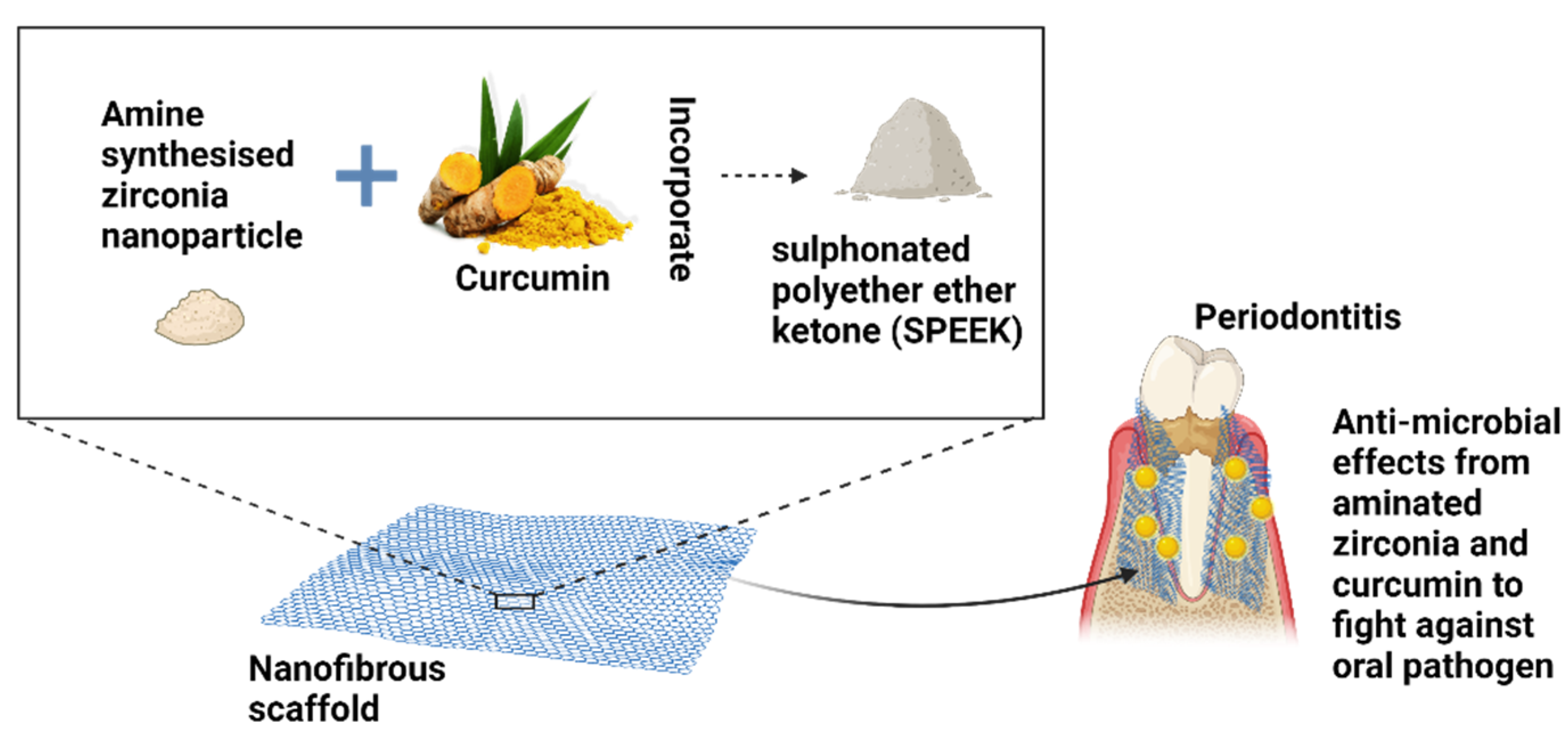 Polymers 14 03725 g008