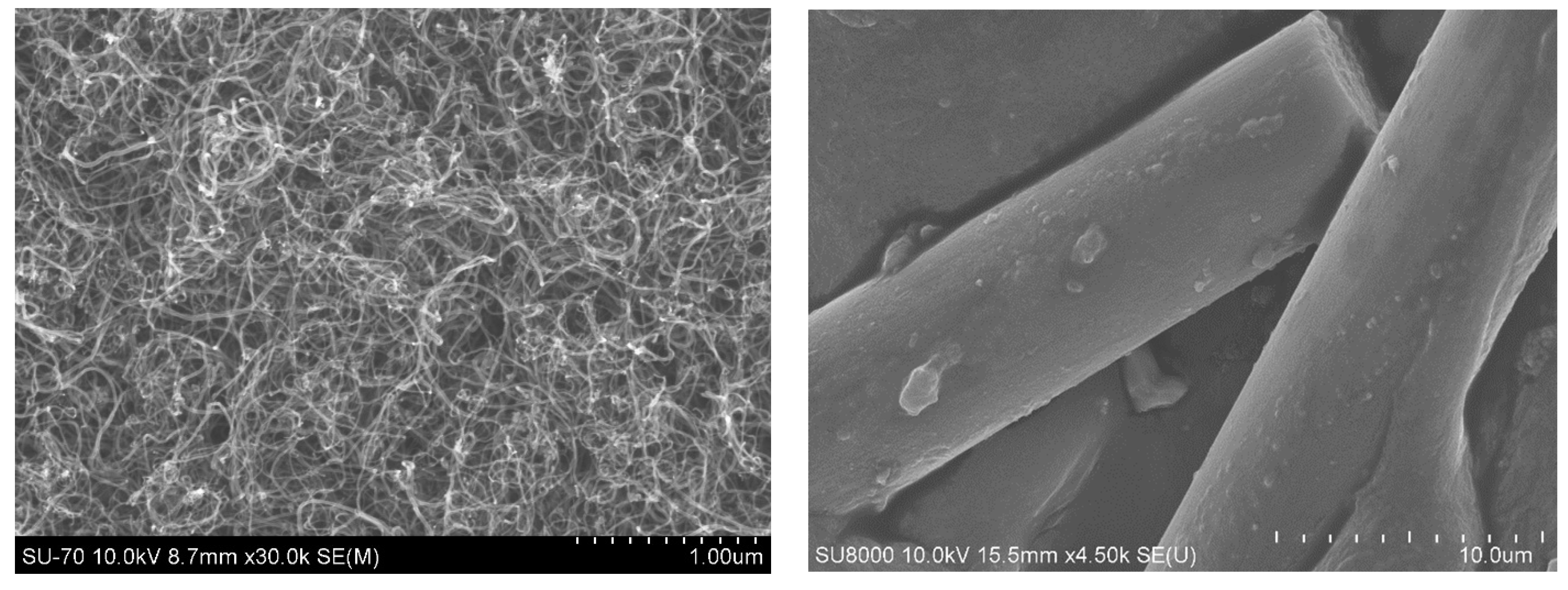 Polymers 14 03731 g002