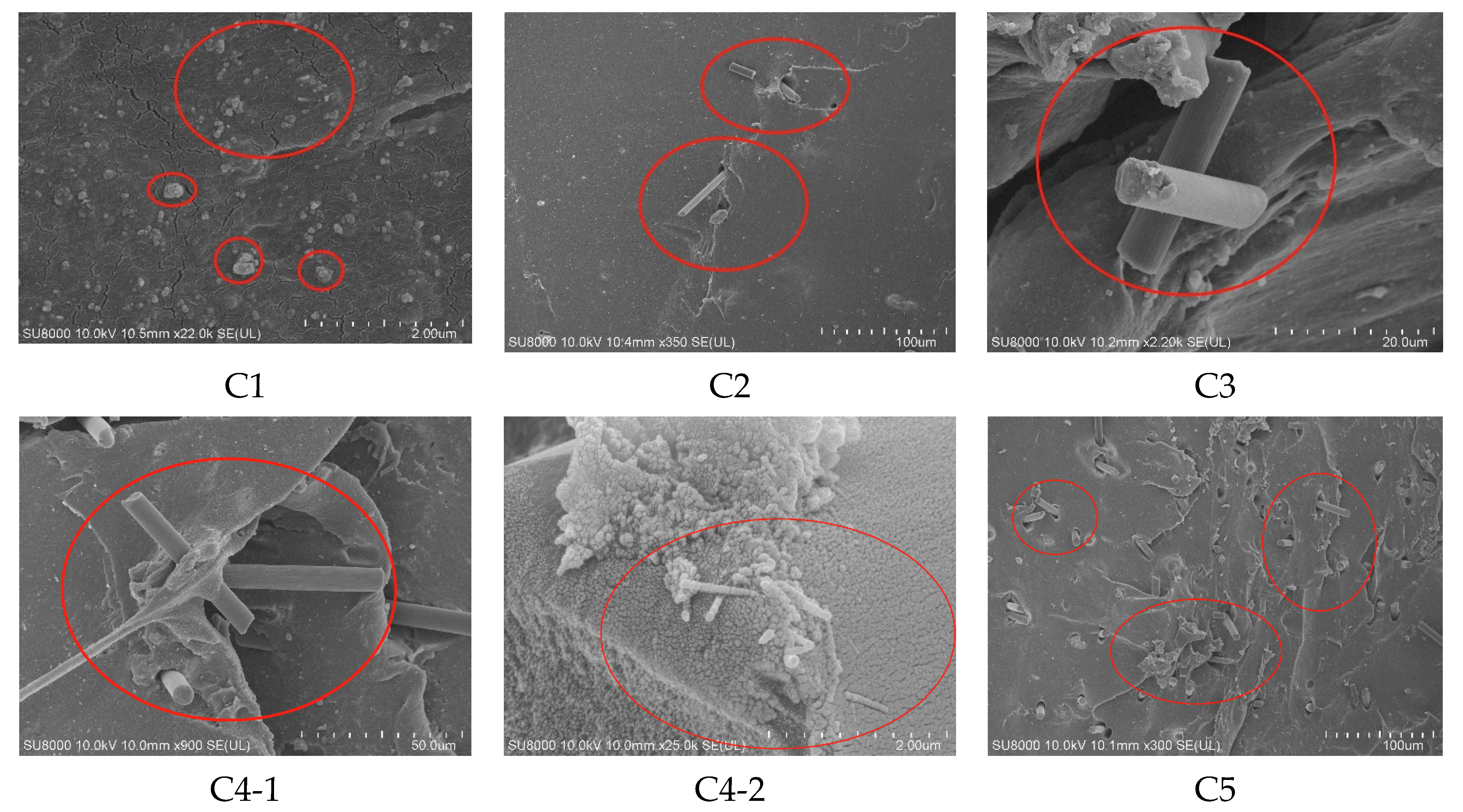 Polymers 14 03731 g004a