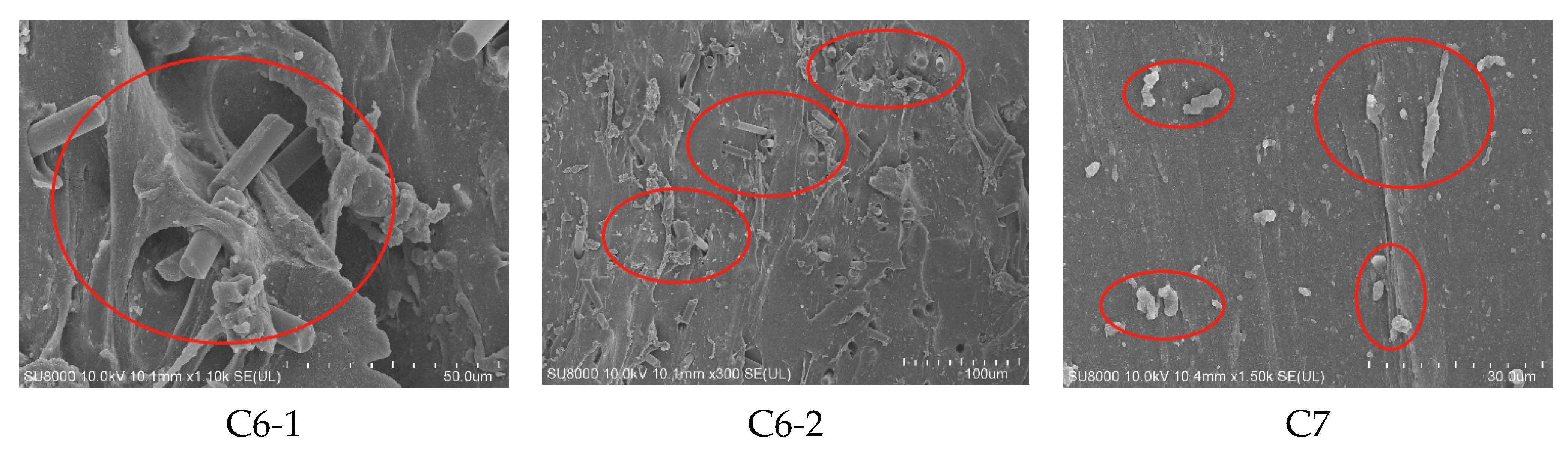 Polymers 14 03731 g004b